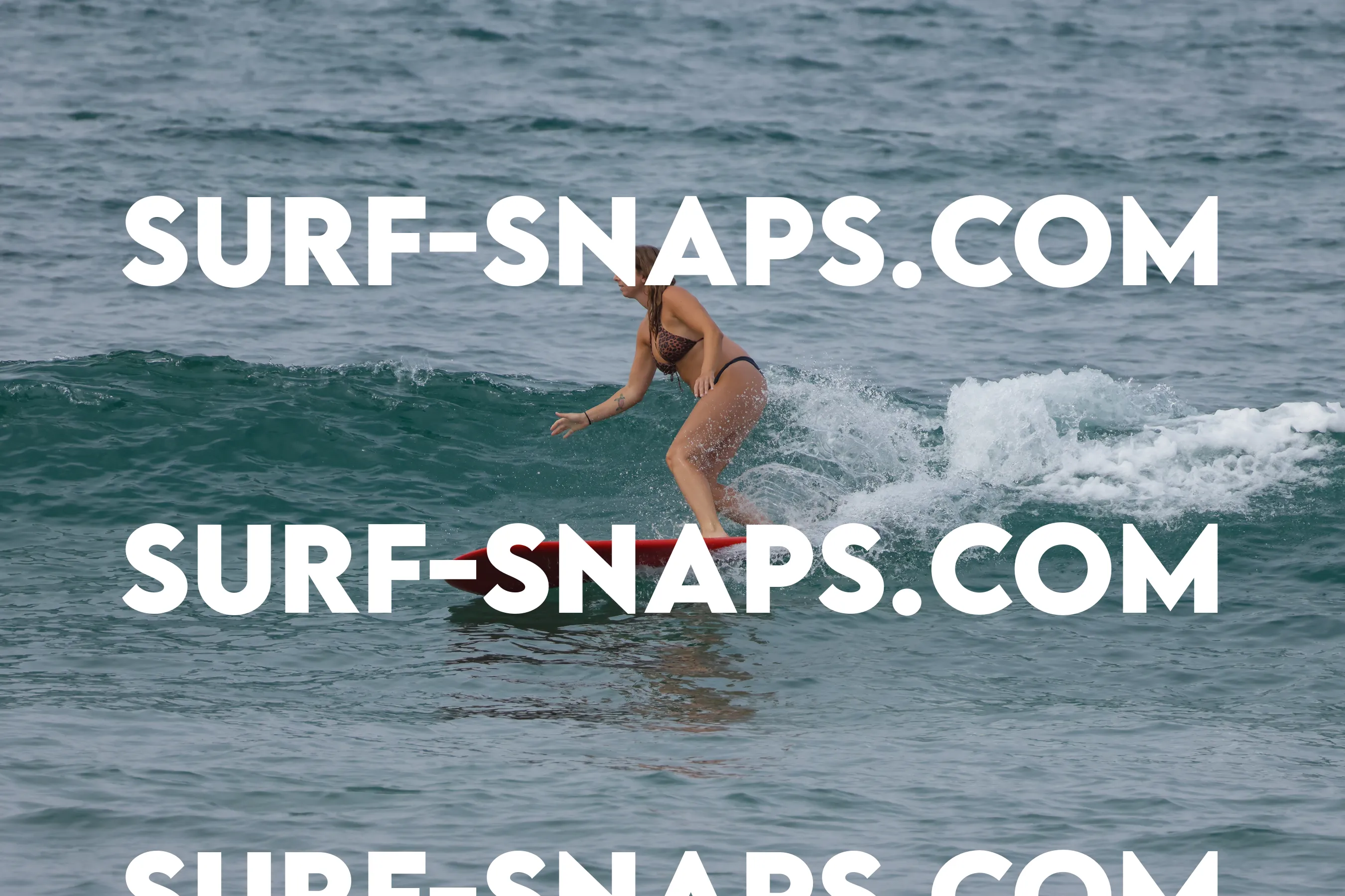 Tourmaline Surfing Park photo 26