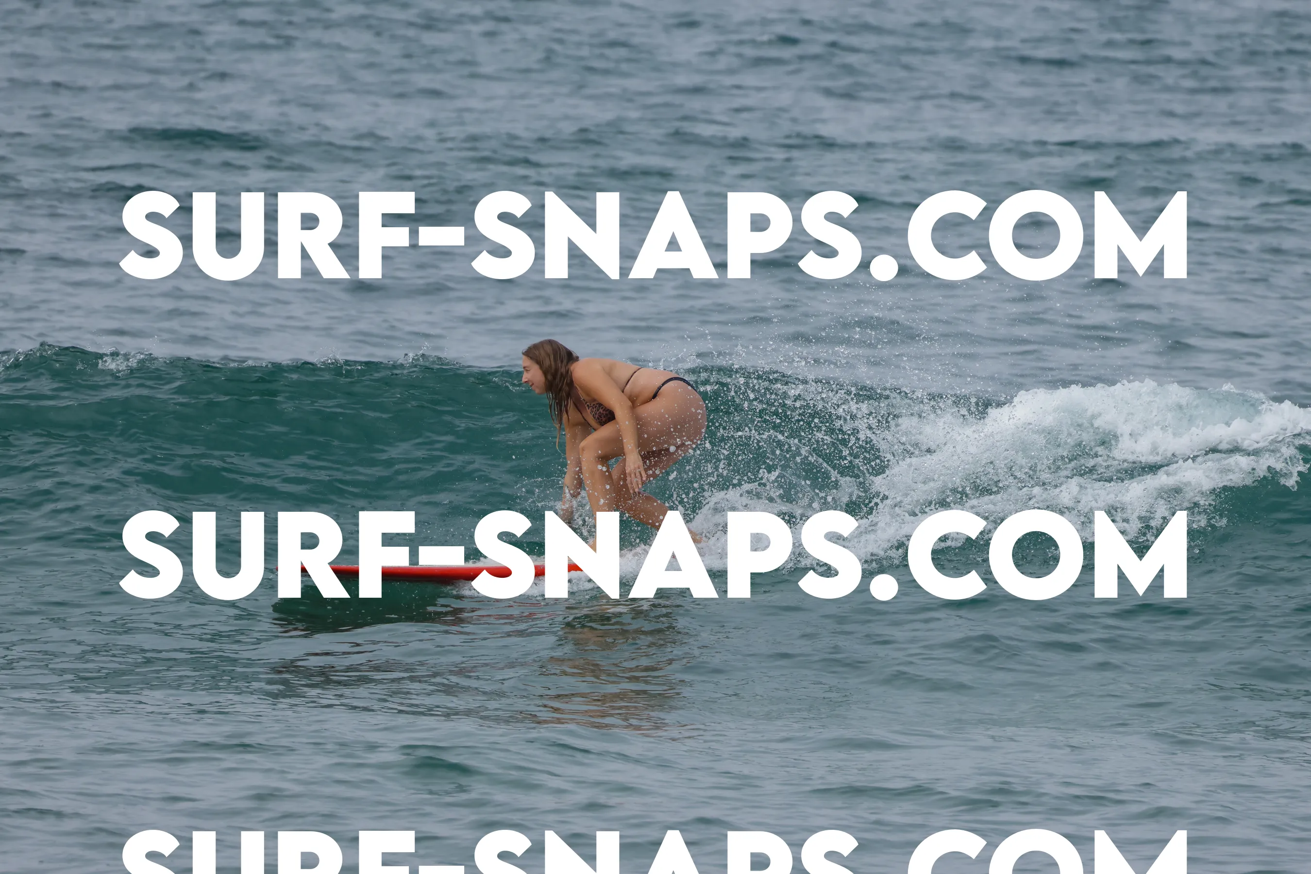 Tourmaline Surfing Park photo 28