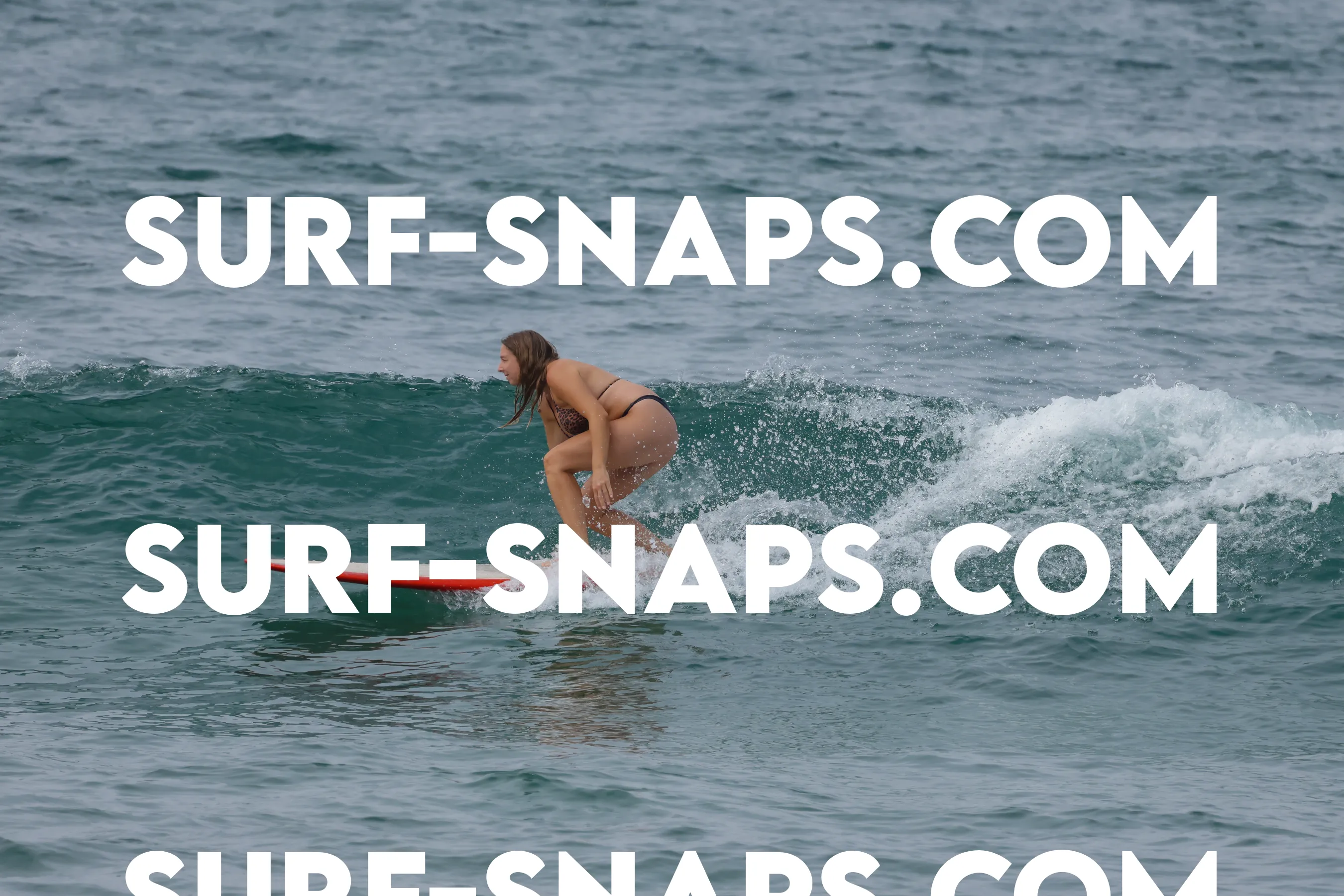 Tourmaline Surfing Park photo 30