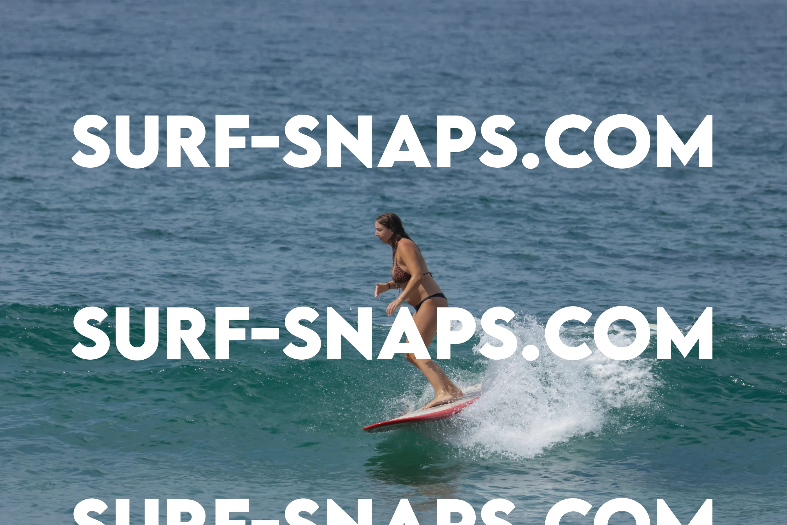 Tourmaline Surfing Park photo 130