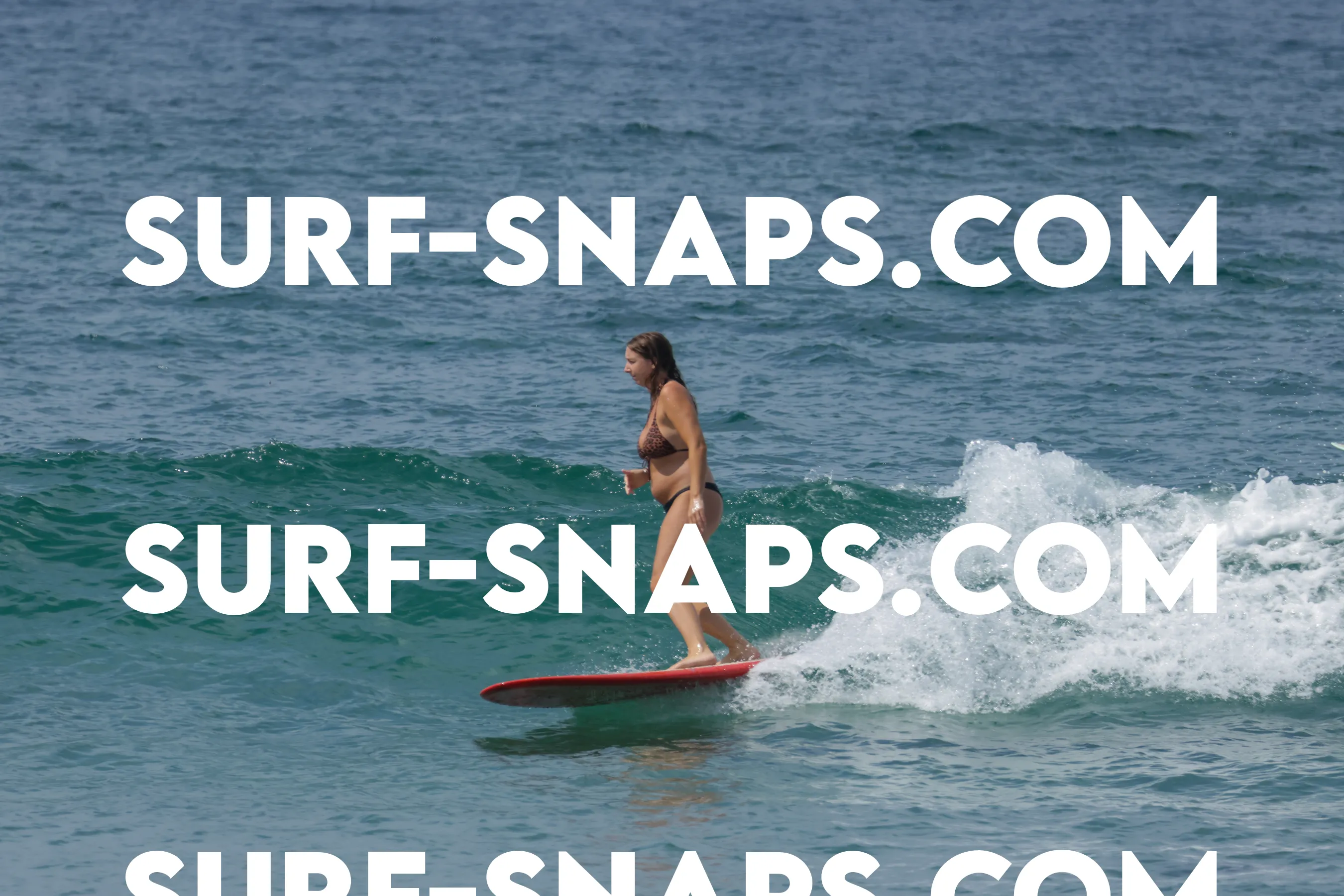 Tourmaline Surfing Park photo 133