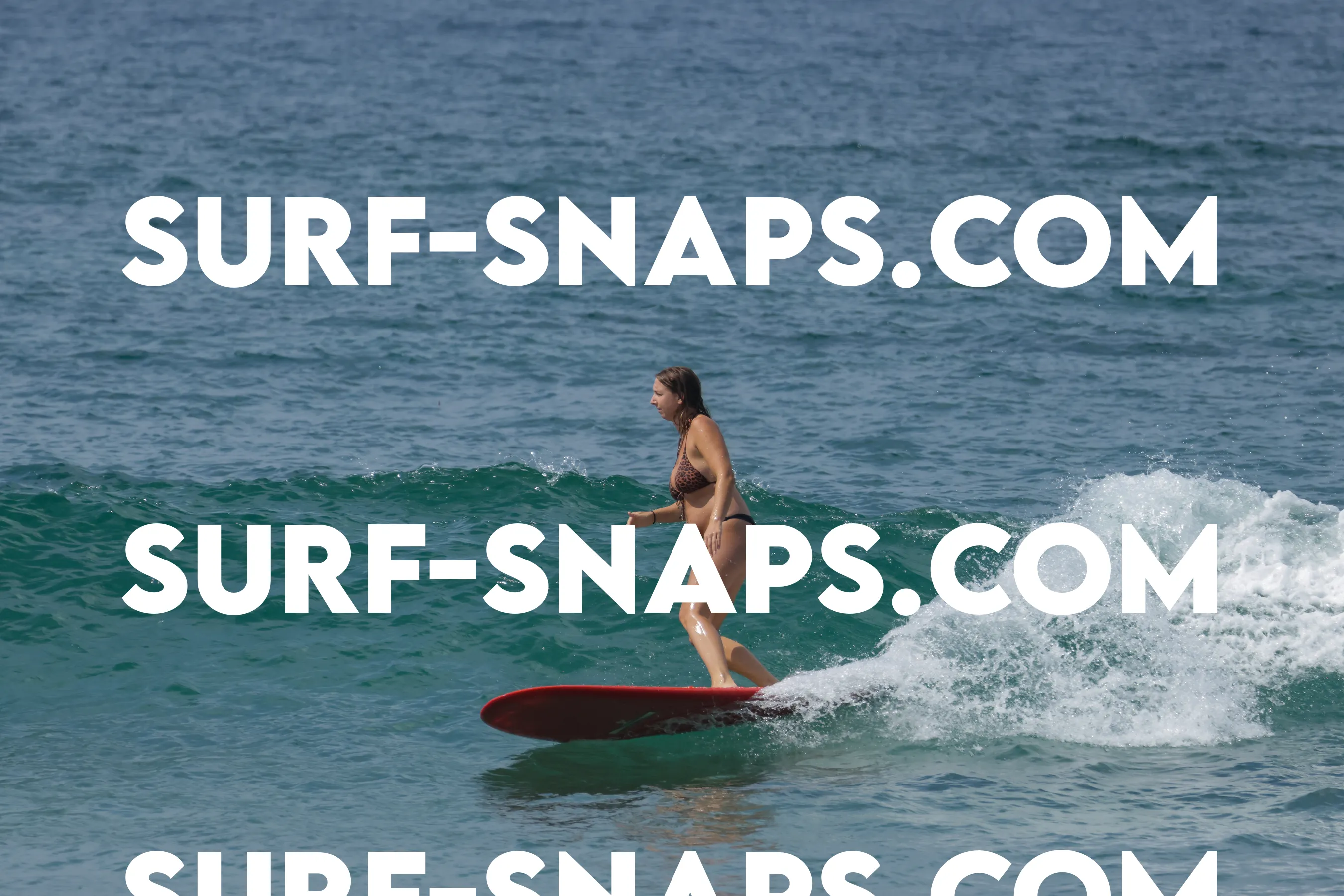 Tourmaline Surfing Park photo 136