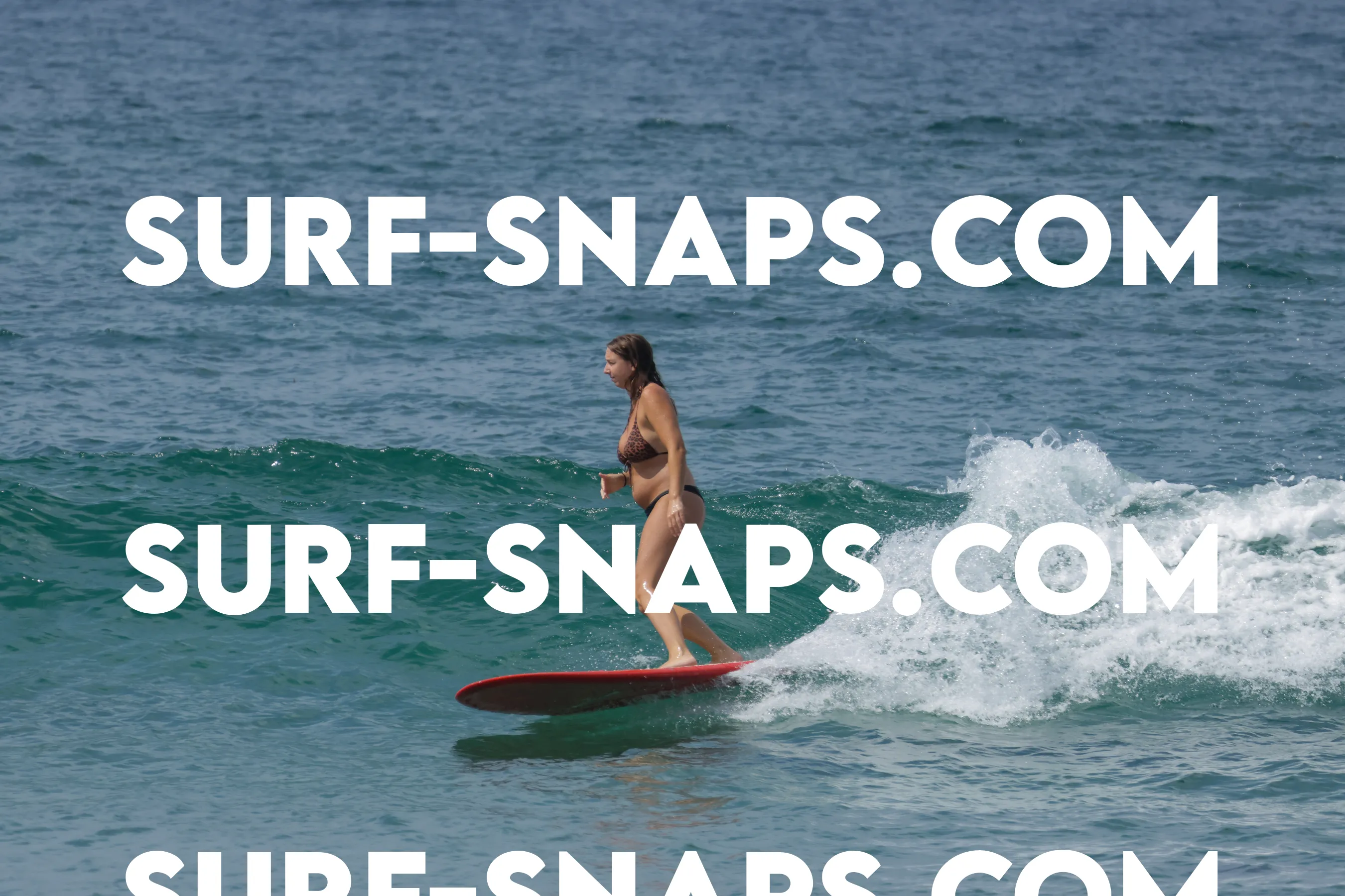 Tourmaline Surfing Park photo 134