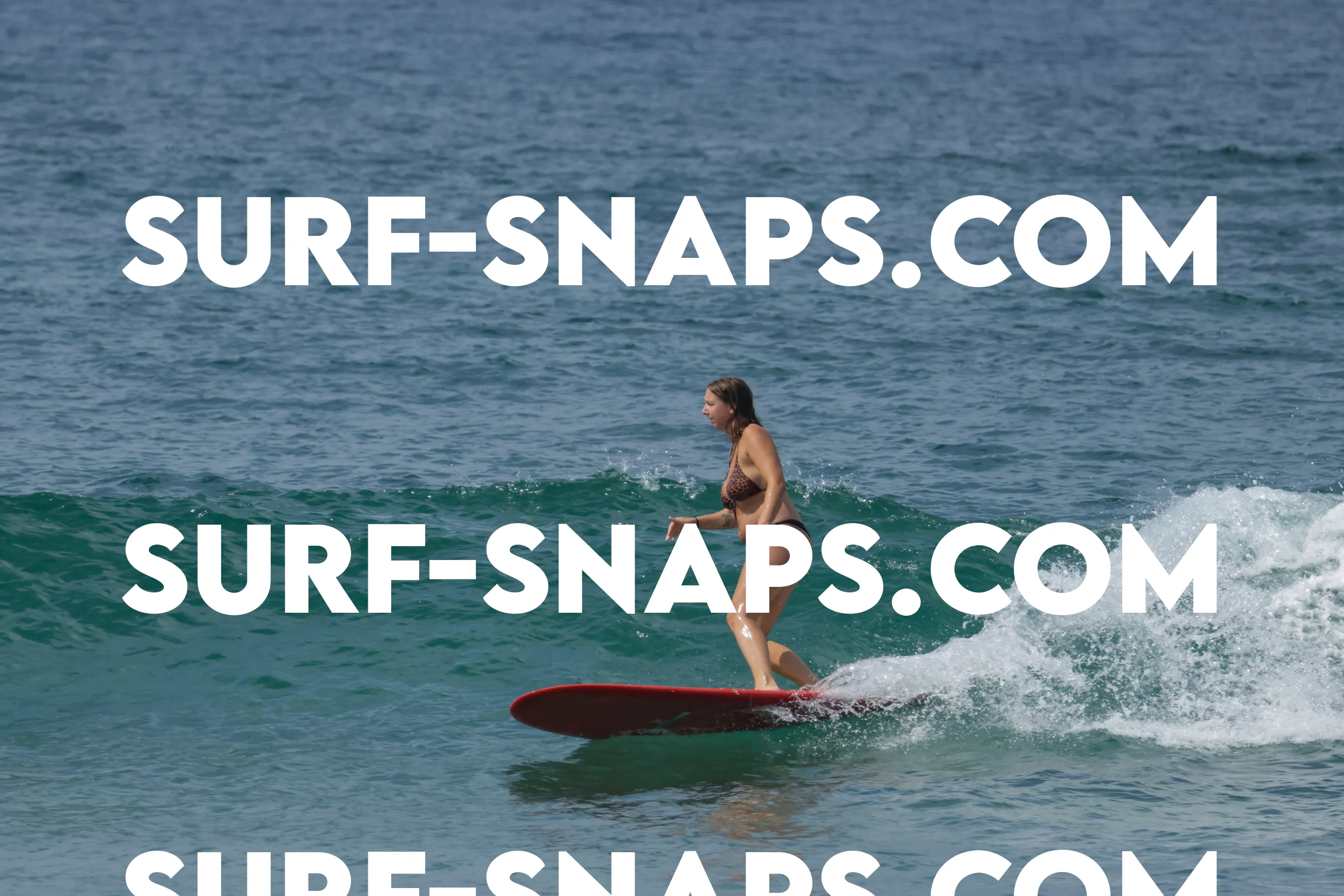 Tourmaline Surfing Park photo 137