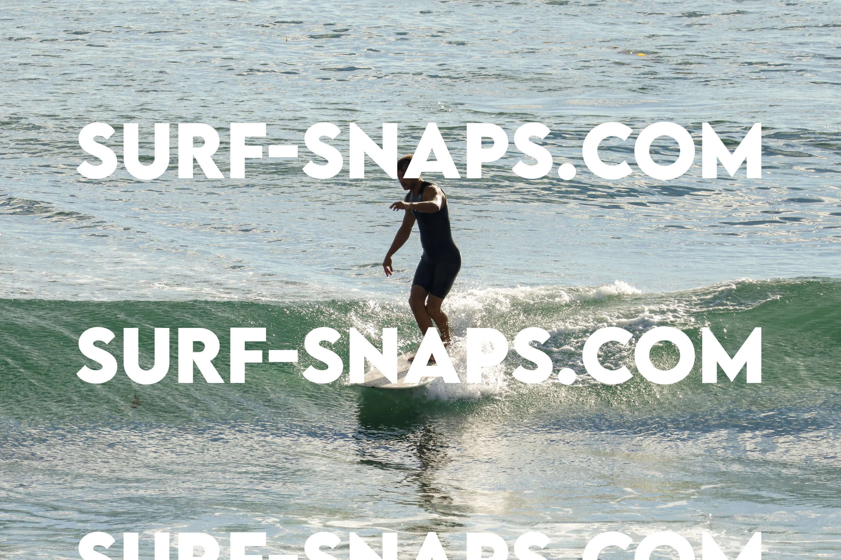 Tourmaline Surfing Park photo 1