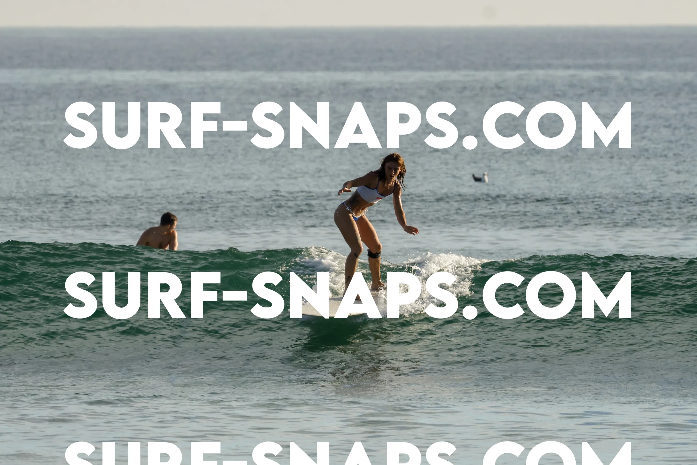 Tourmaline Surfing Park photo 121