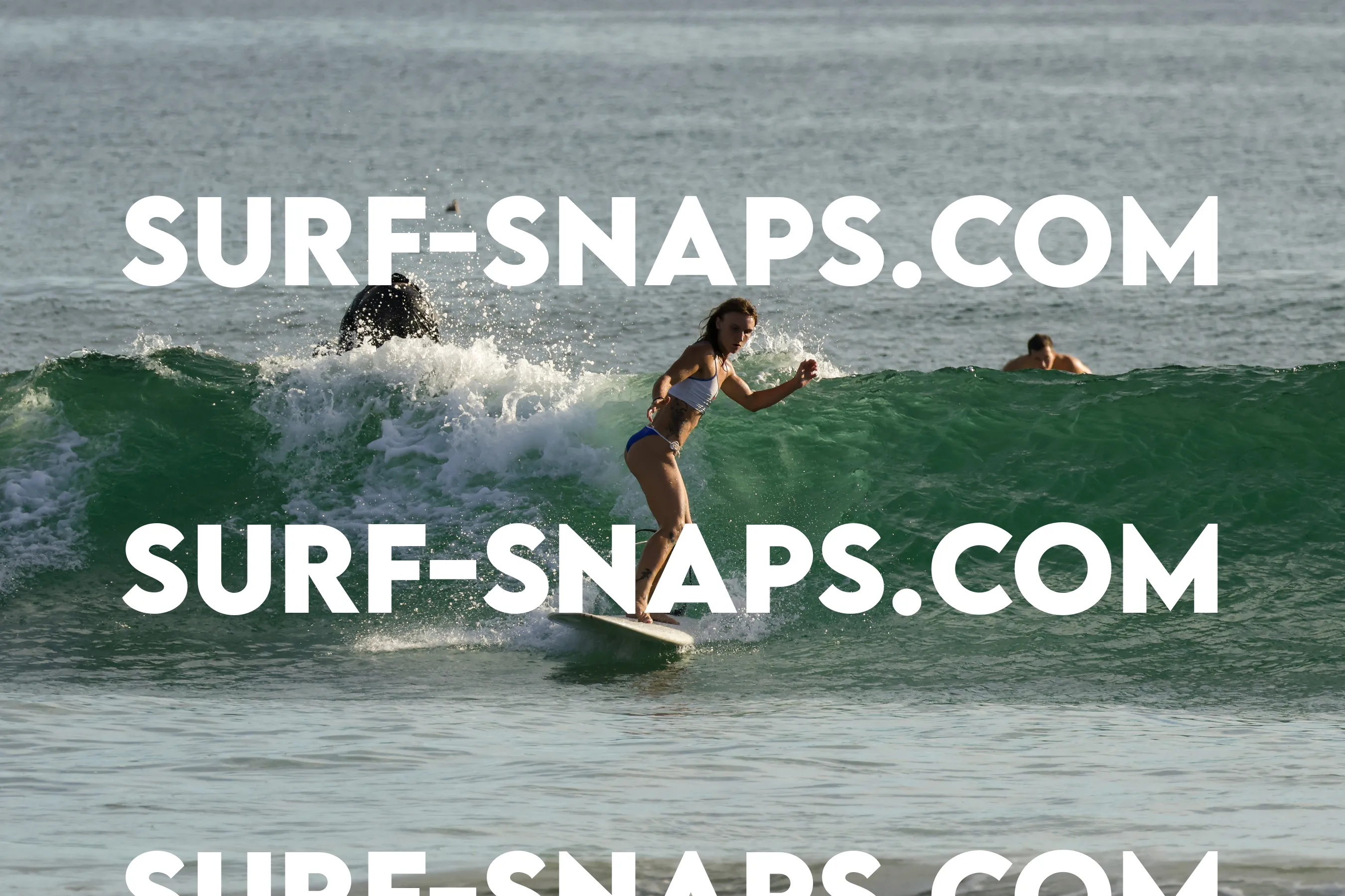 Tourmaline Surfing Park photo 134