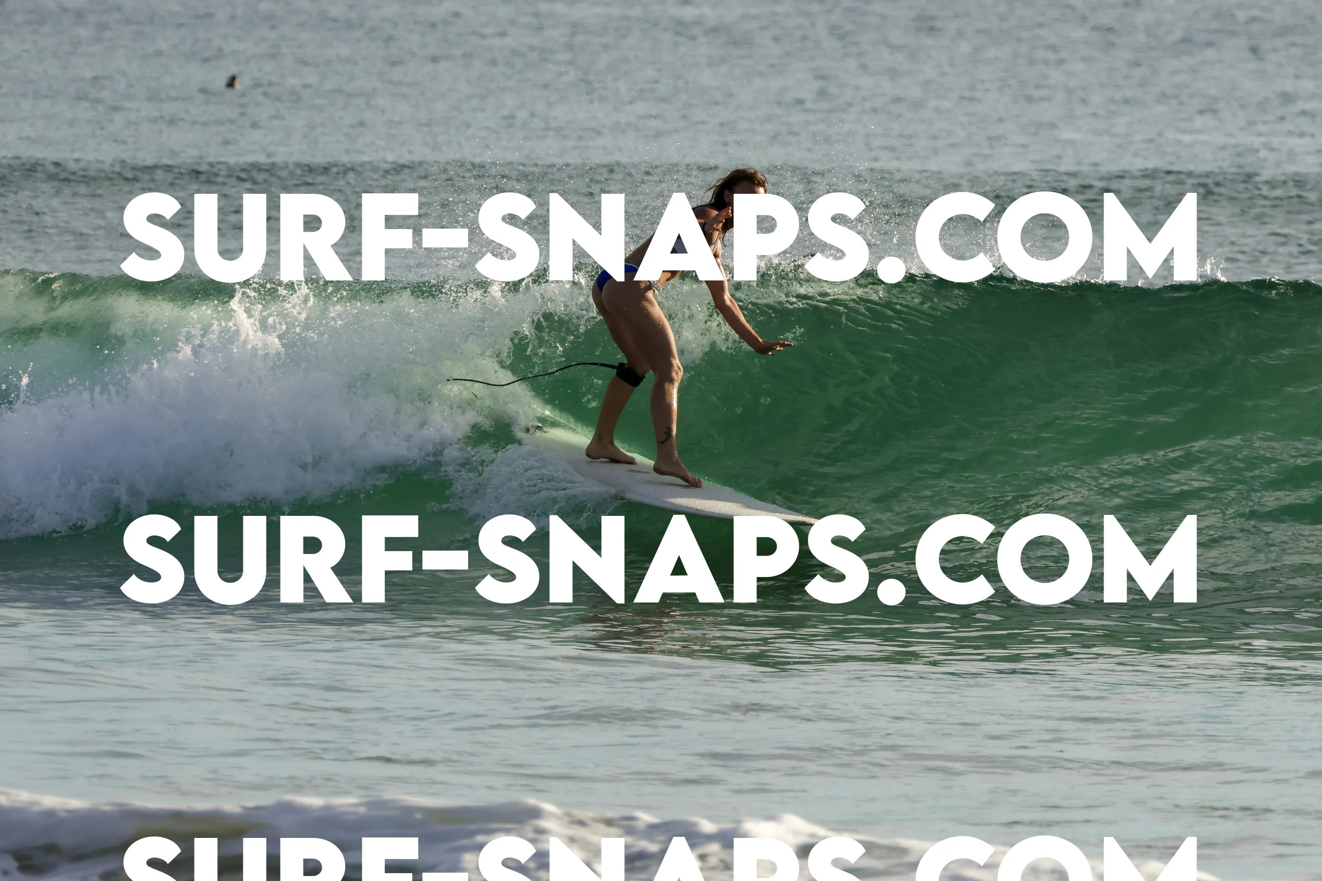 Tourmaline Surfing Park photo 142