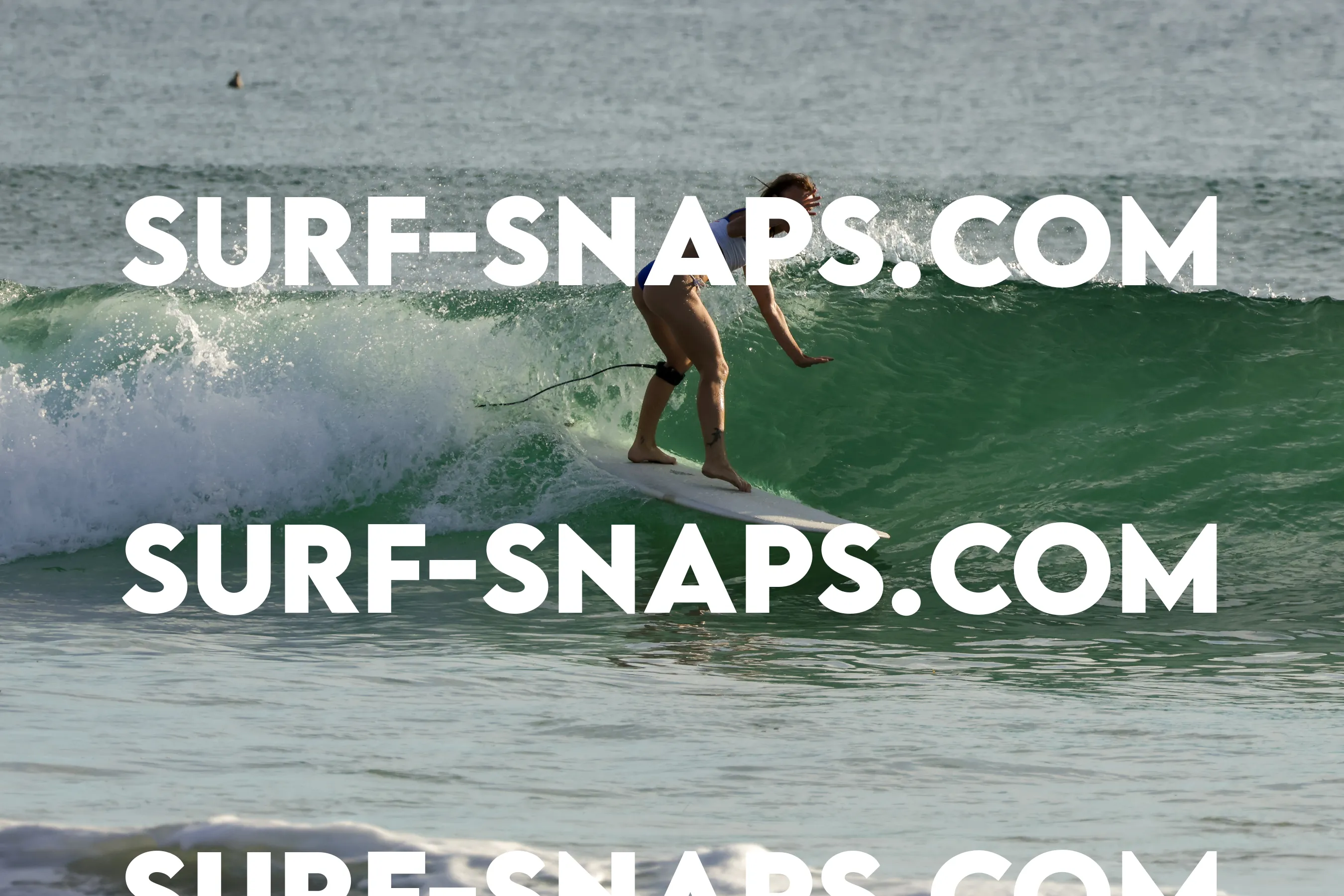 Tourmaline Surfing Park photo 144