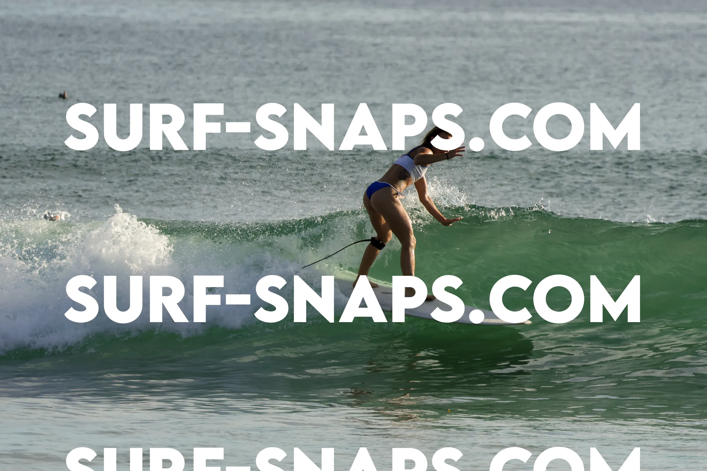 Tourmaline Surfing Park photo 146