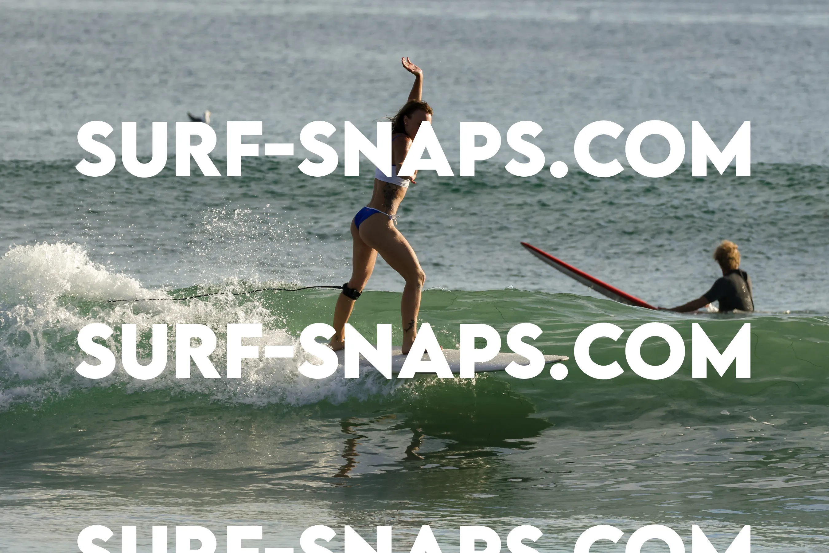 Tourmaline Surfing Park photo 157