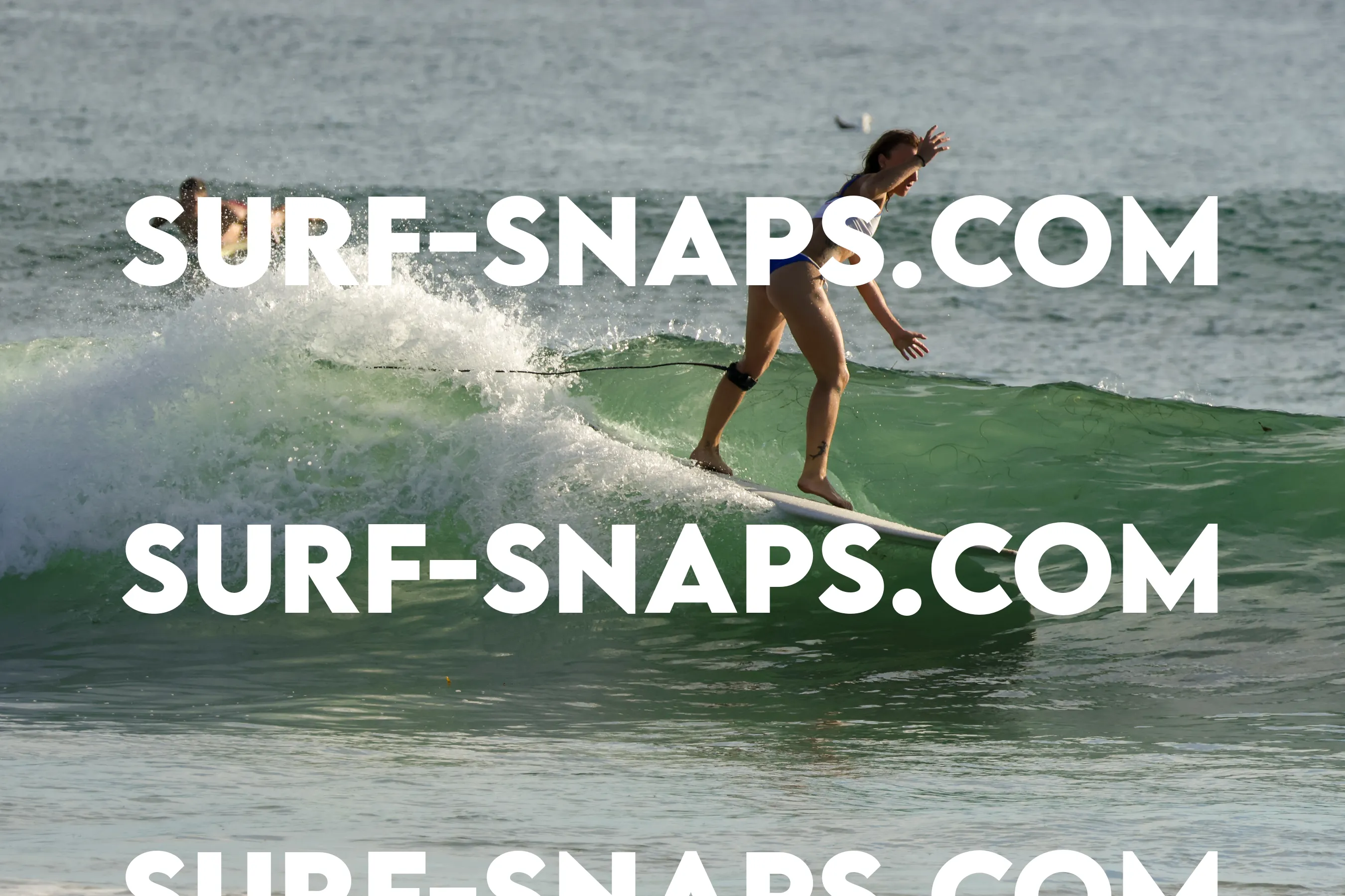 Tourmaline Surfing Park photo 156
