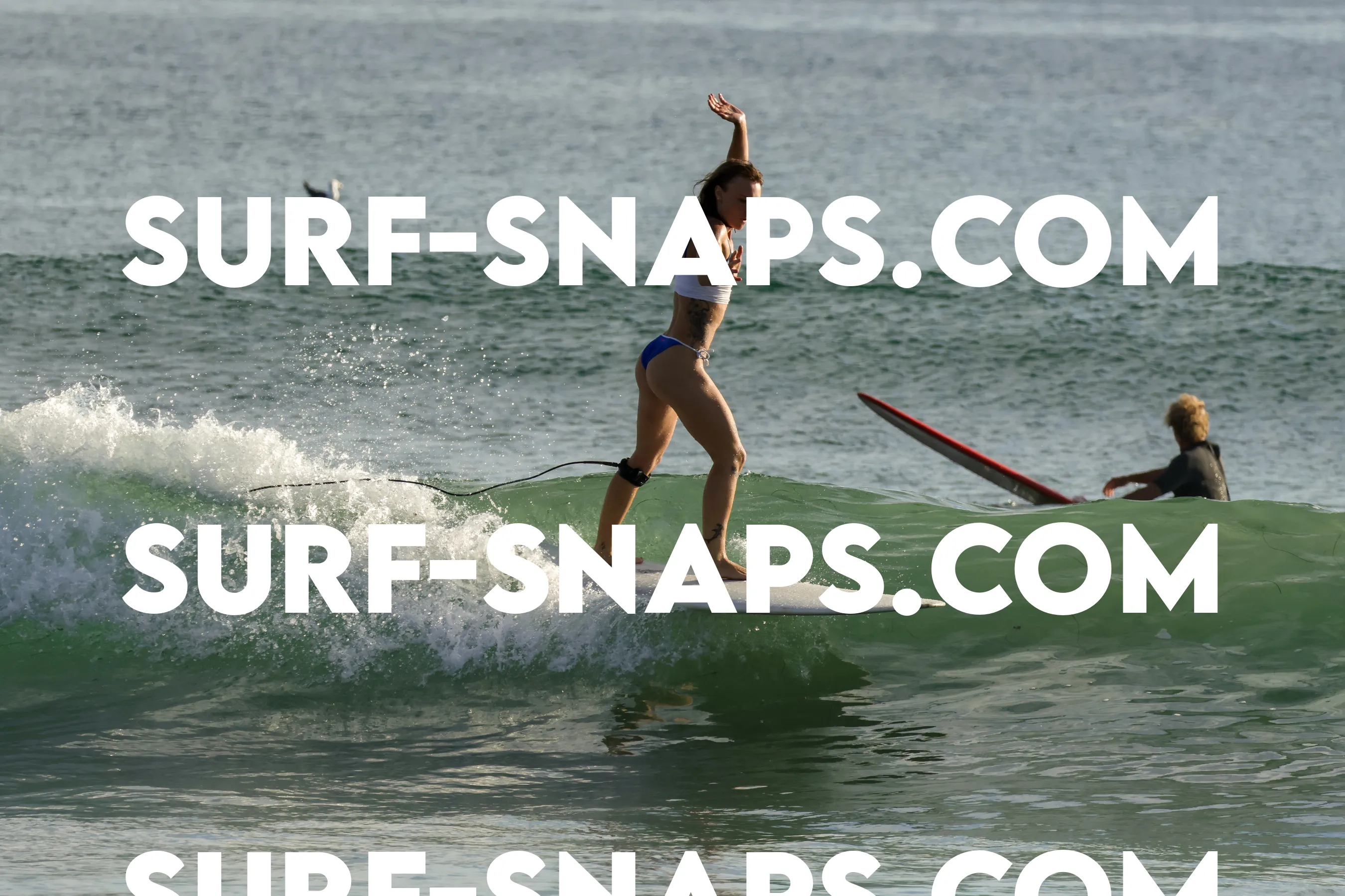 Tourmaline Surfing Park photo 159
