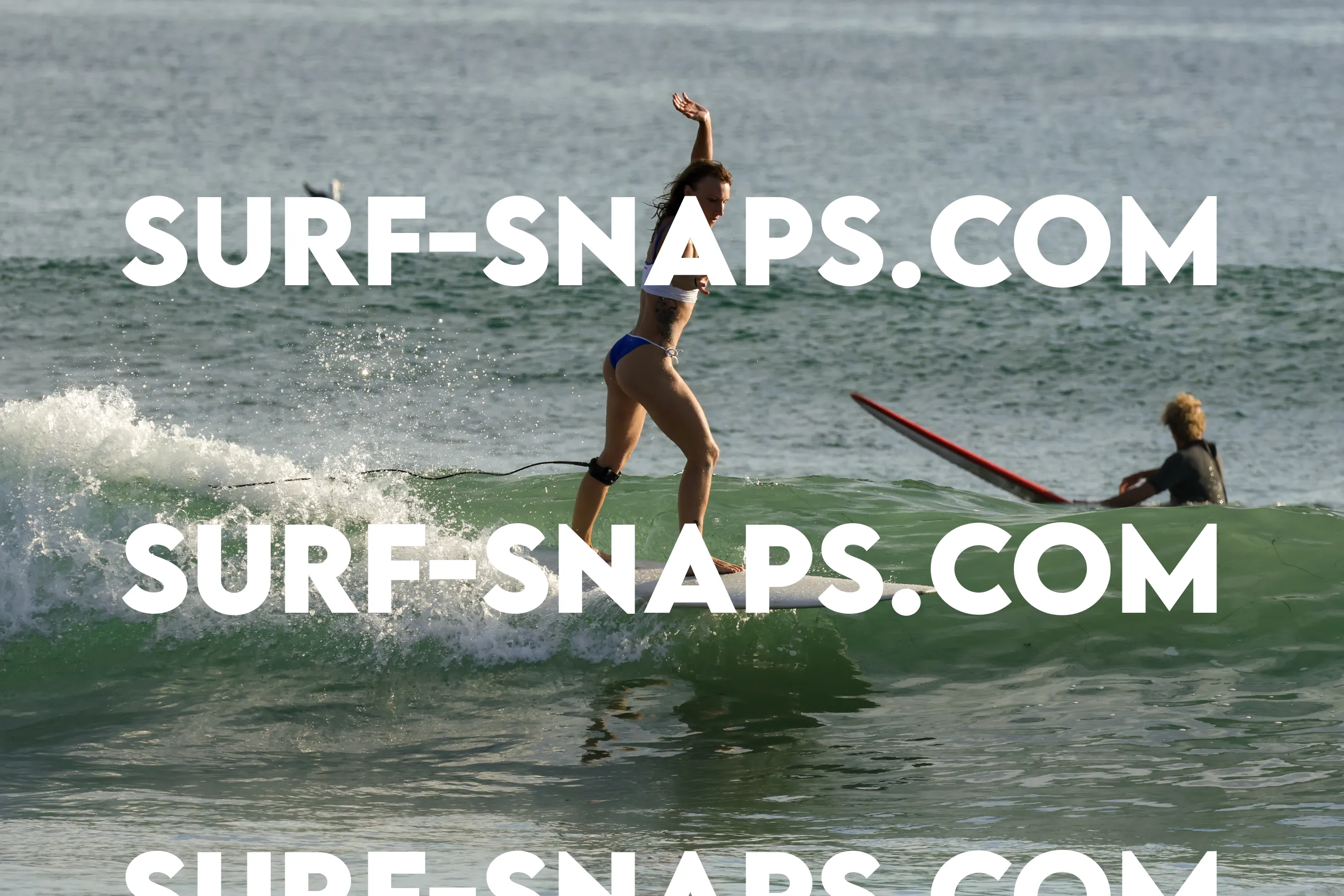 Tourmaline Surfing Park photo 158