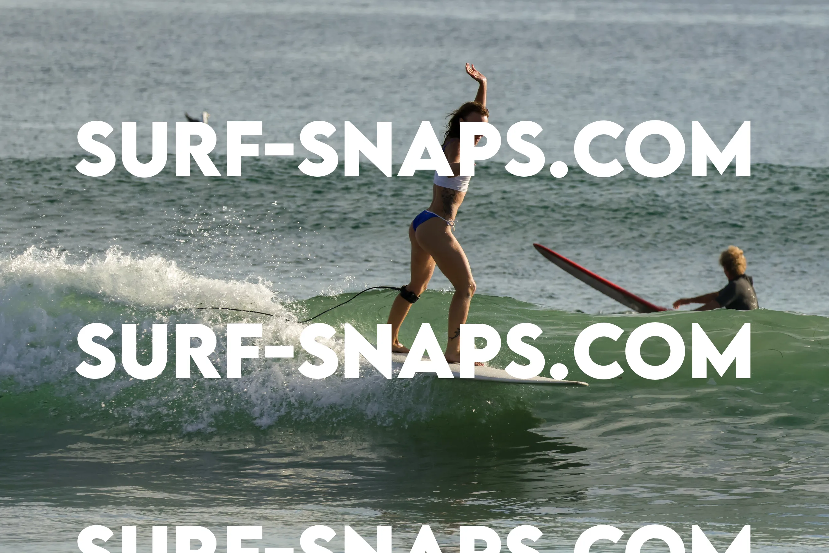 Tourmaline Surfing Park photo 160