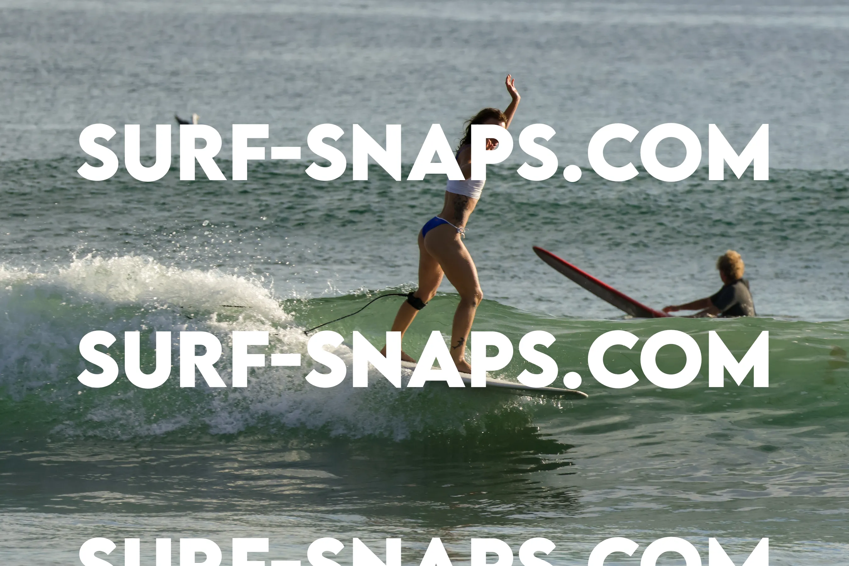 Tourmaline Surfing Park photo 161