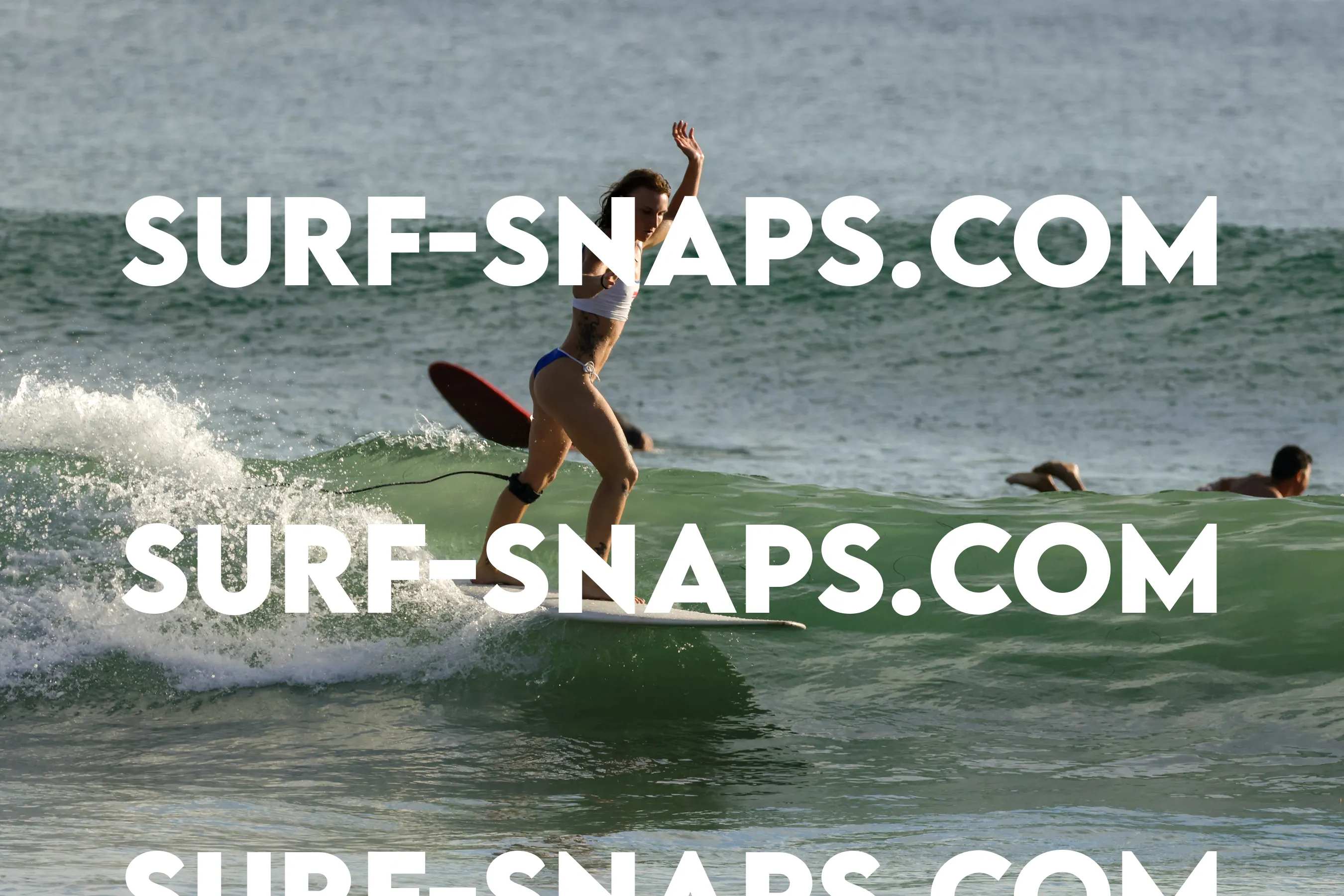 Tourmaline Surfing Park photo 165
