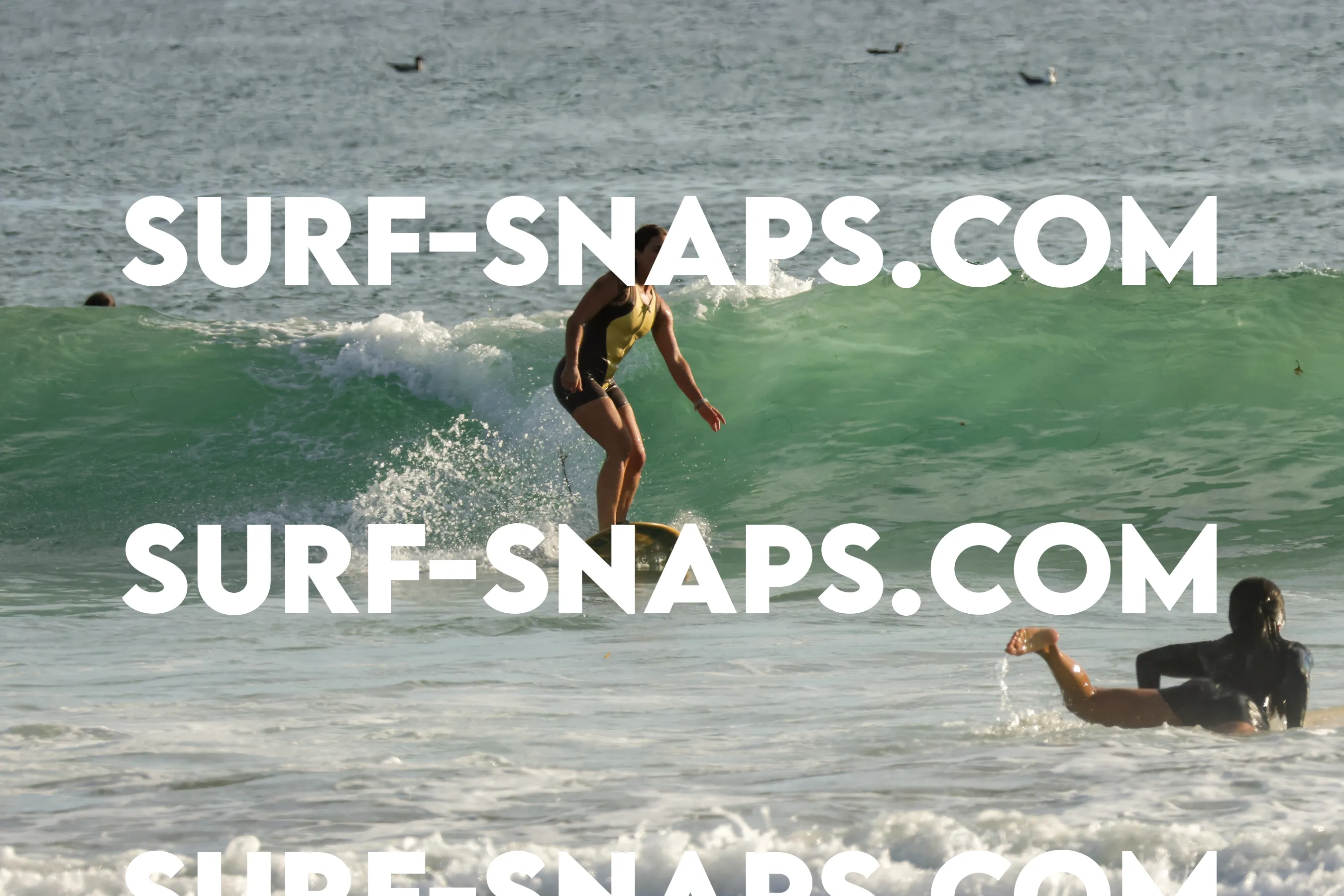 Tourmaline Surfing Park photo 191