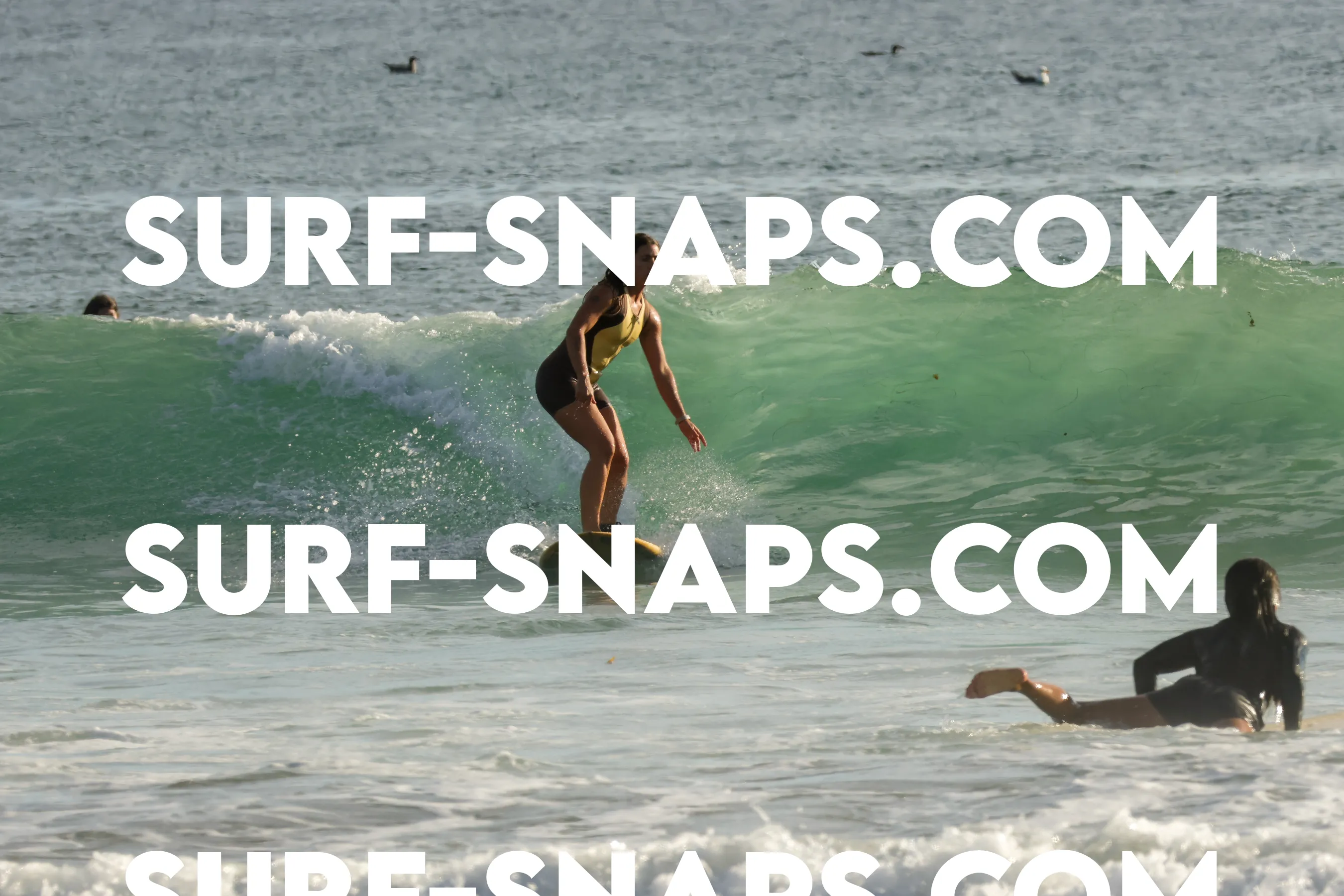 Tourmaline Surfing Park photo 193