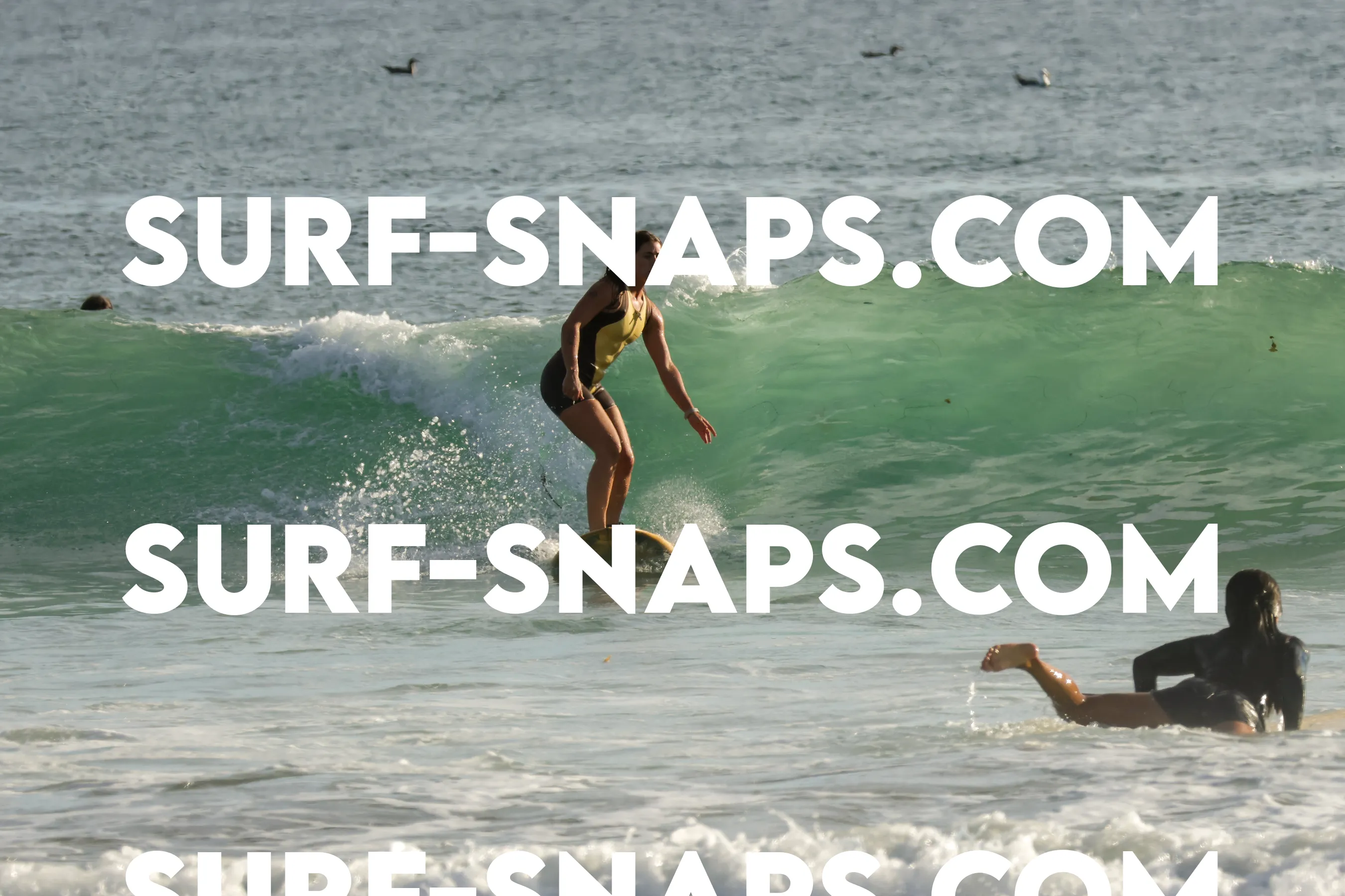 Tourmaline Surfing Park photo 192