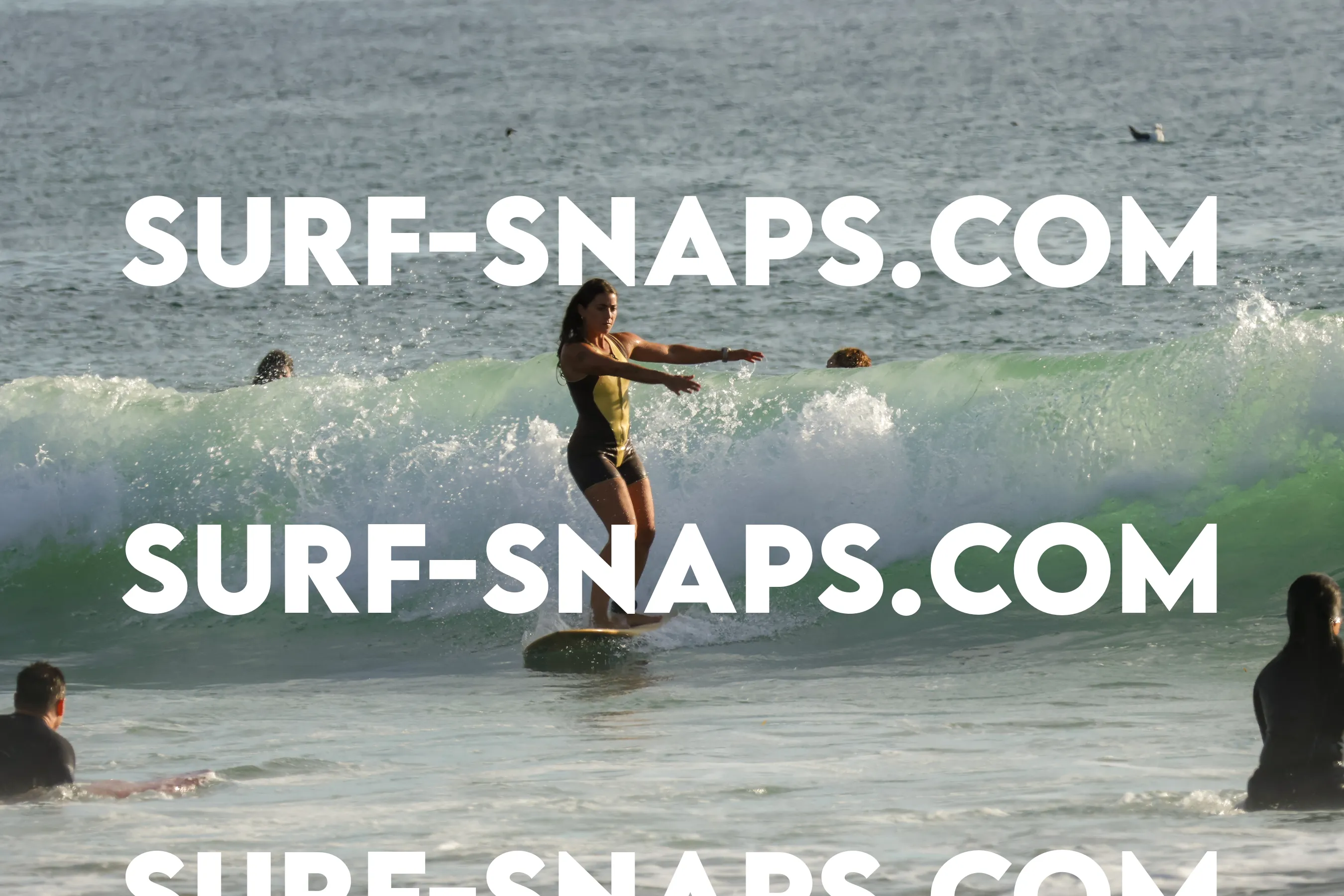 Tourmaline Surfing Park photo 196
