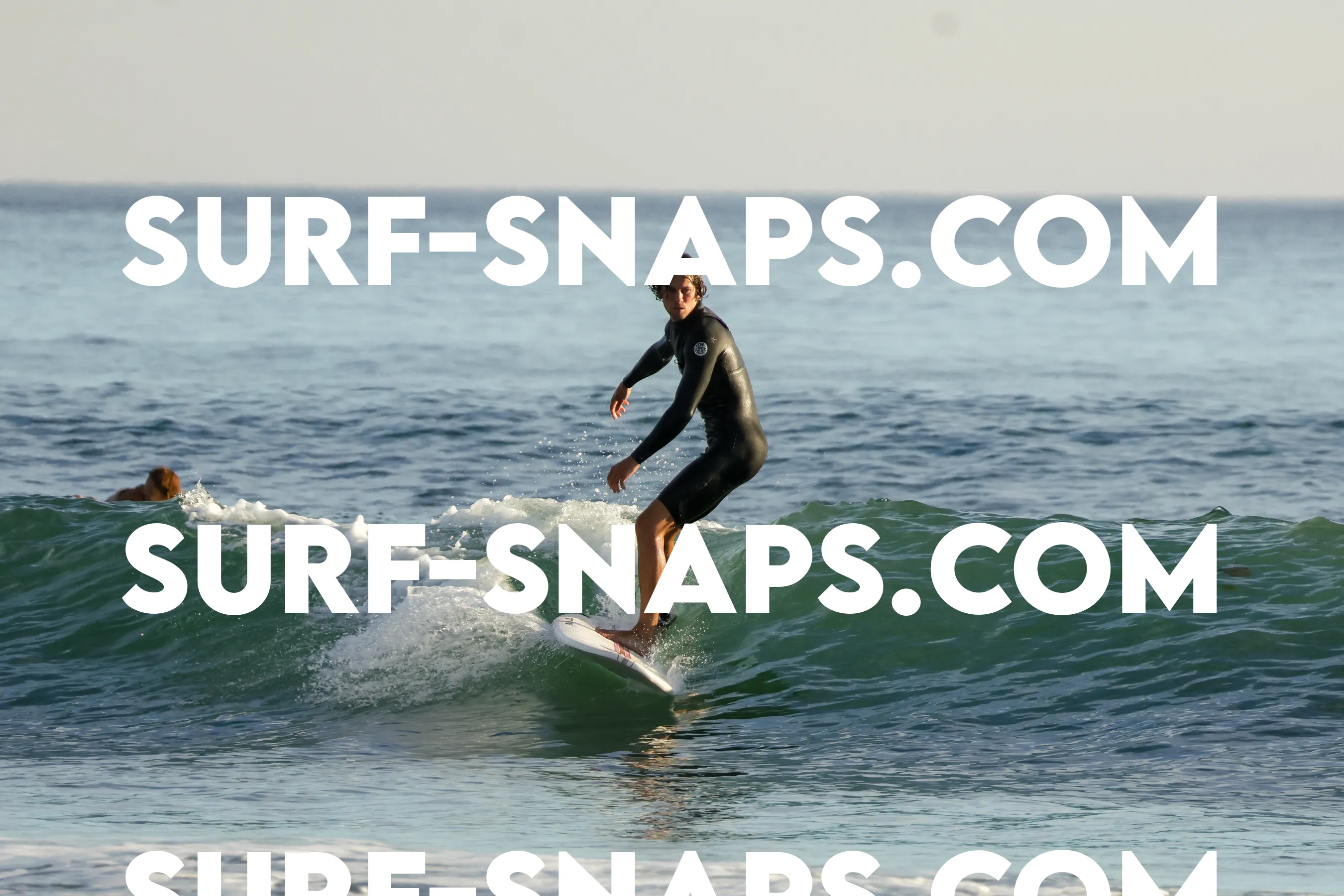 Tourmaline Surfing Park photo 452