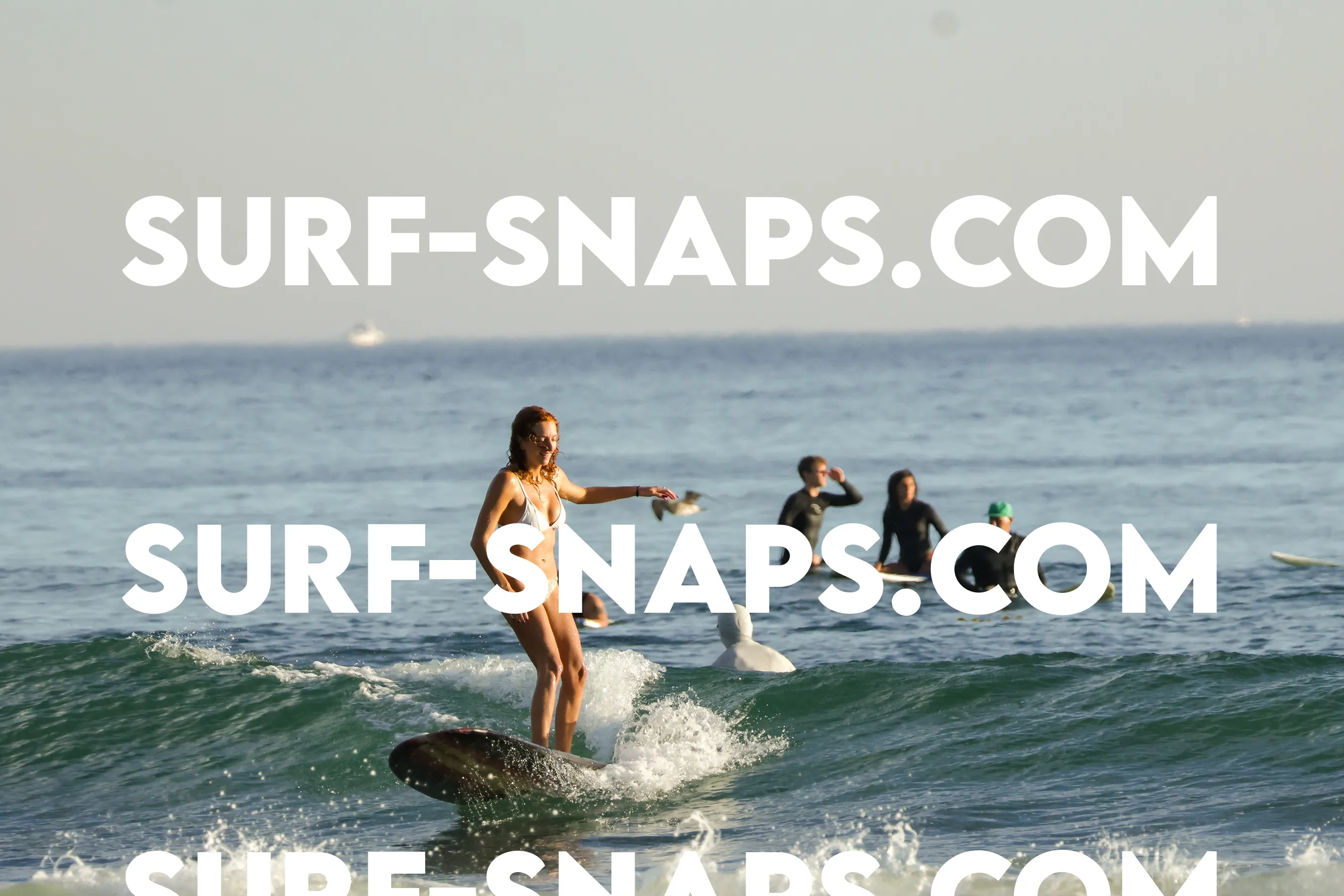 Tourmaline Surfing Park photo 477