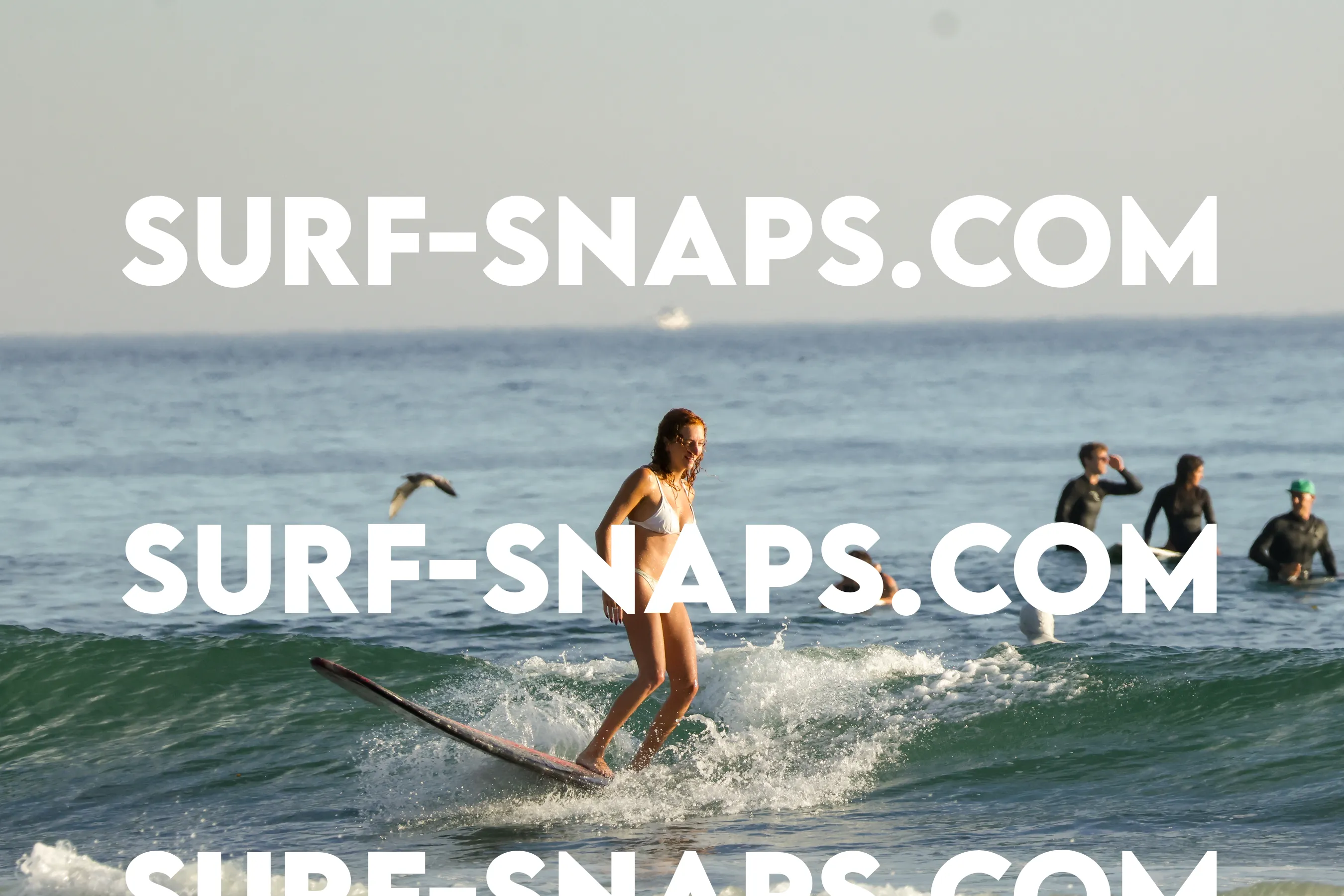 Tourmaline Surfing Park photo 478