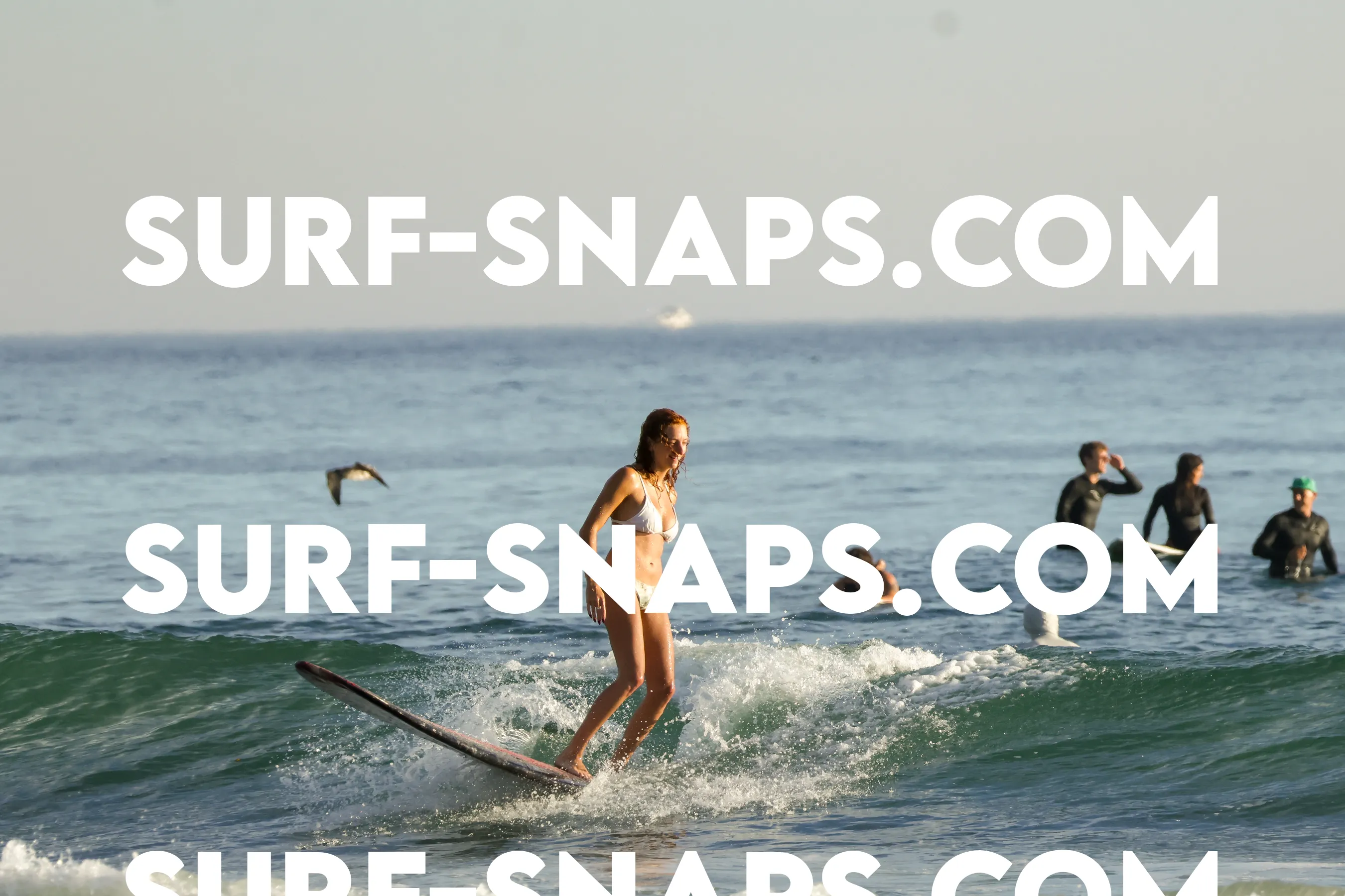 Tourmaline Surfing Park photo 479