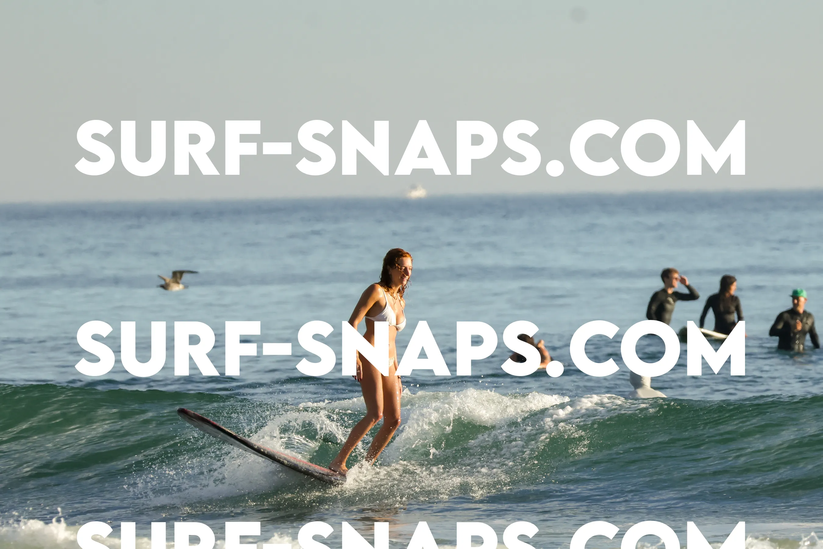 Tourmaline Surfing Park photo 480