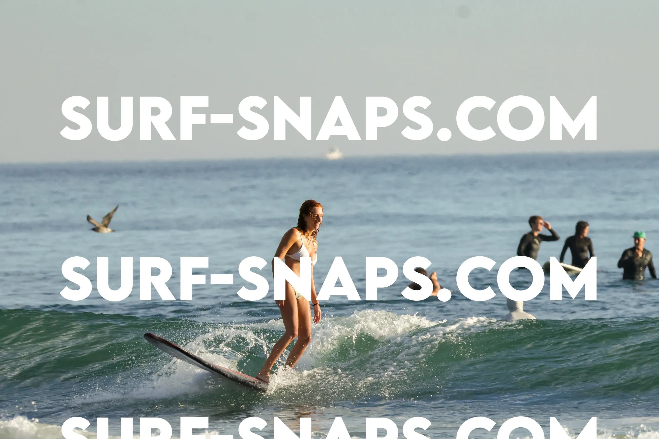 Tourmaline Surfing Park photo 481