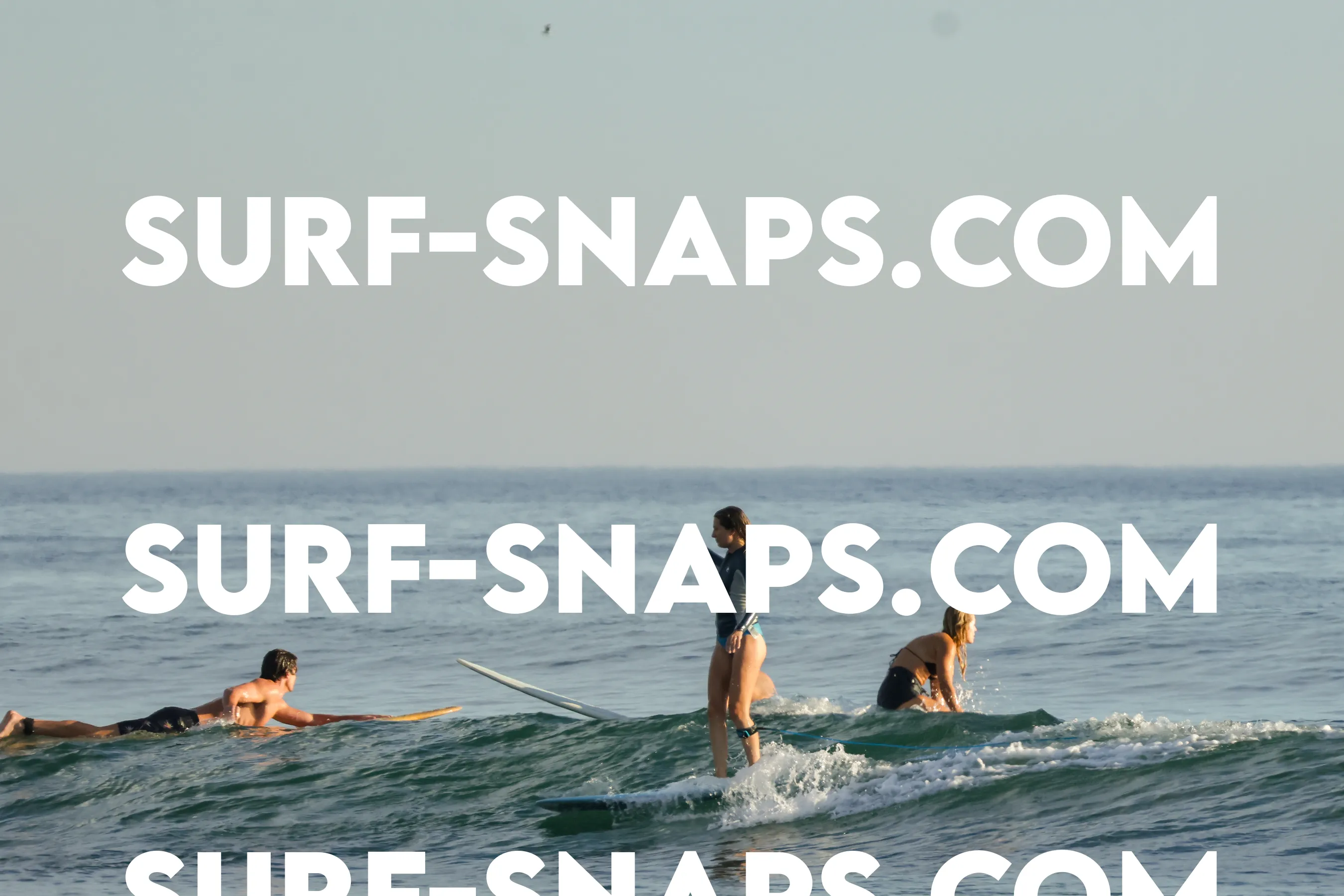 Tourmaline Surfing Park photo 1