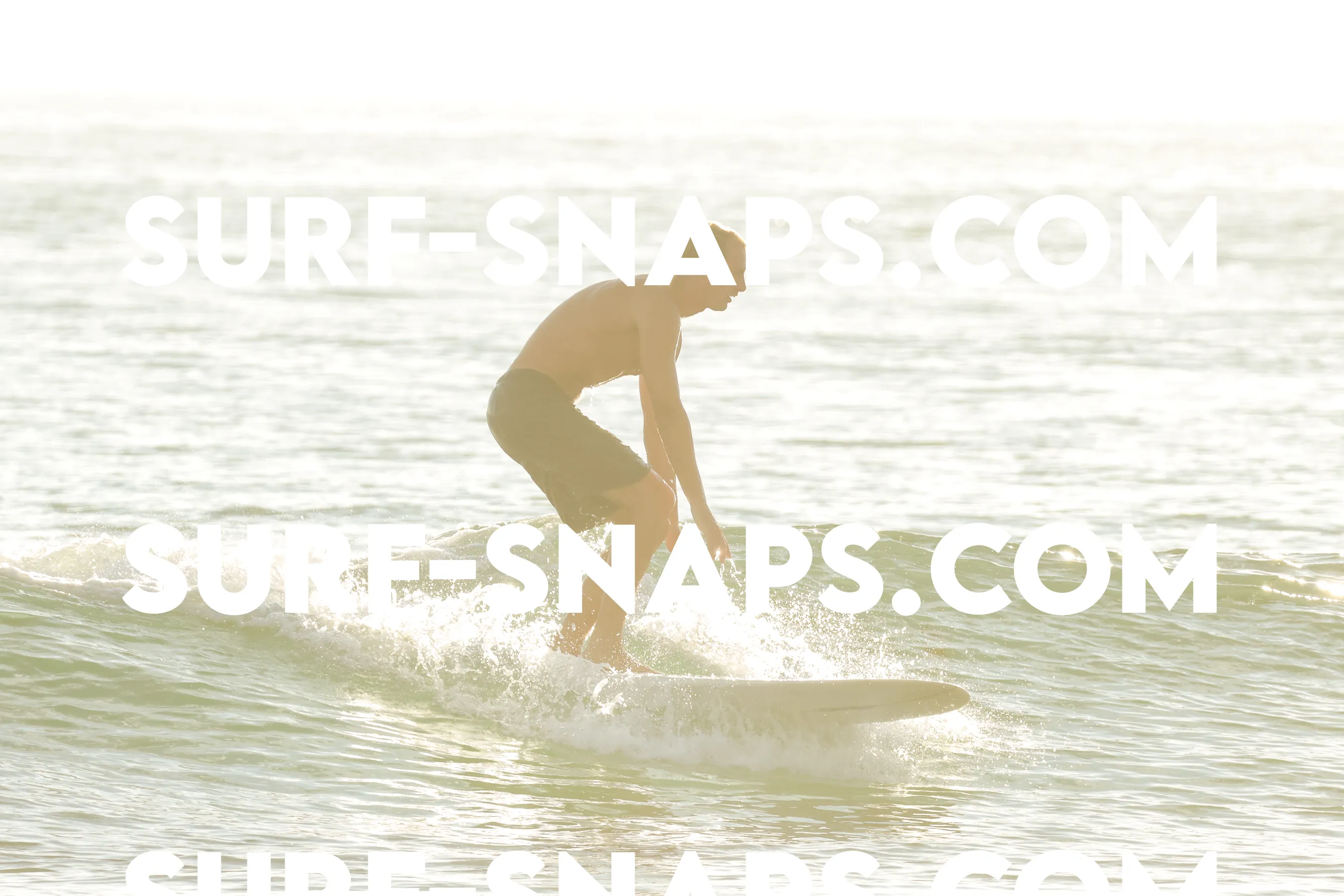 Tourmaline Surfing Park photo 88