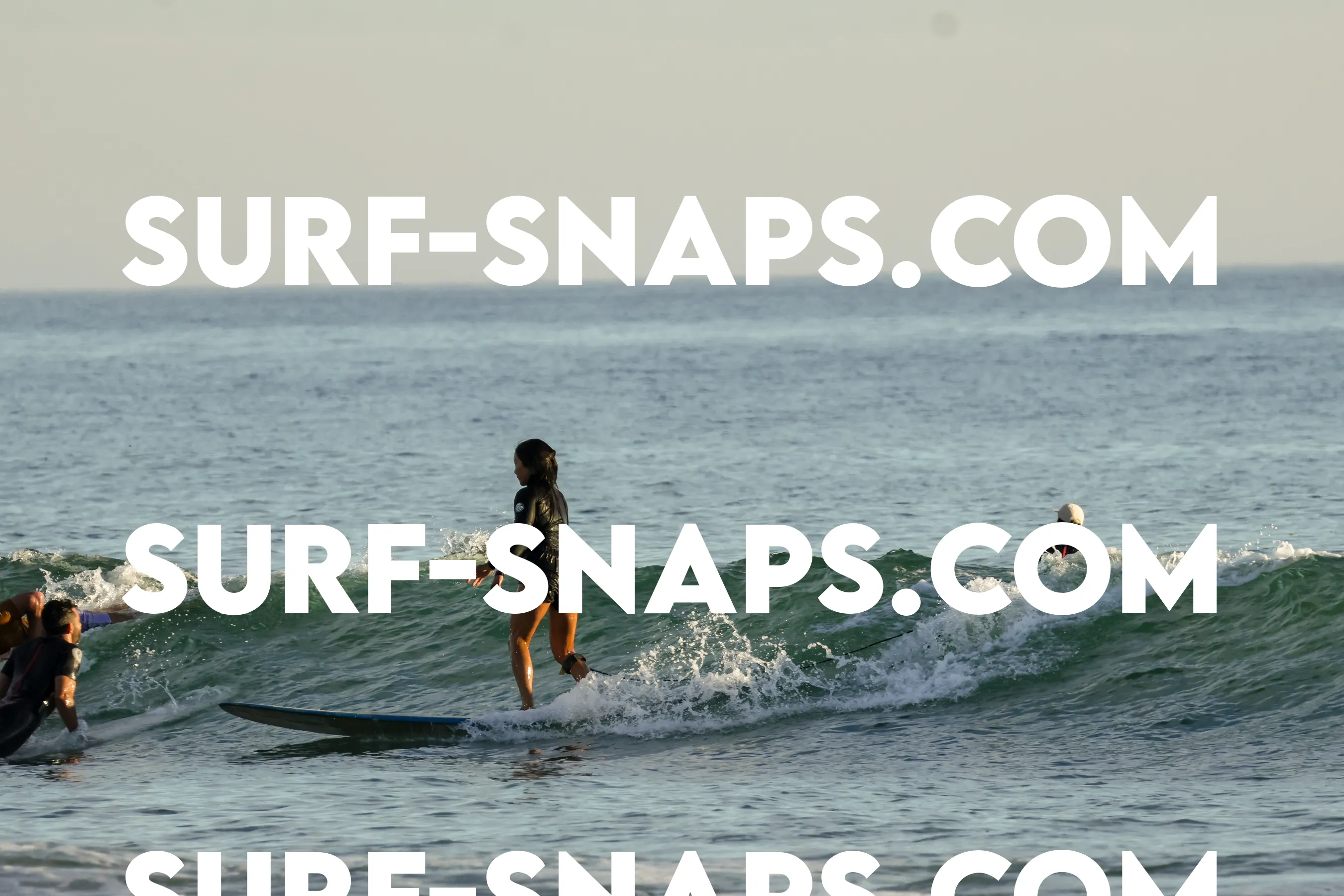 Tourmaline Surfing Park photo 196