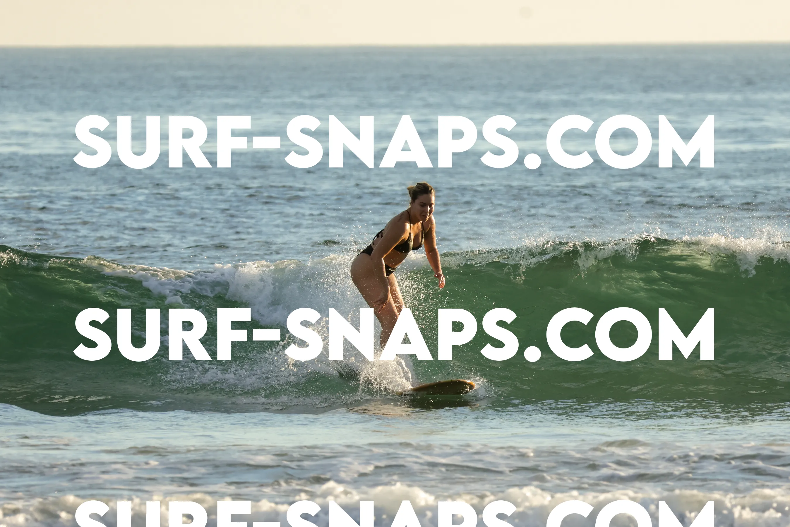 Tourmaline Surfing Park photo 216