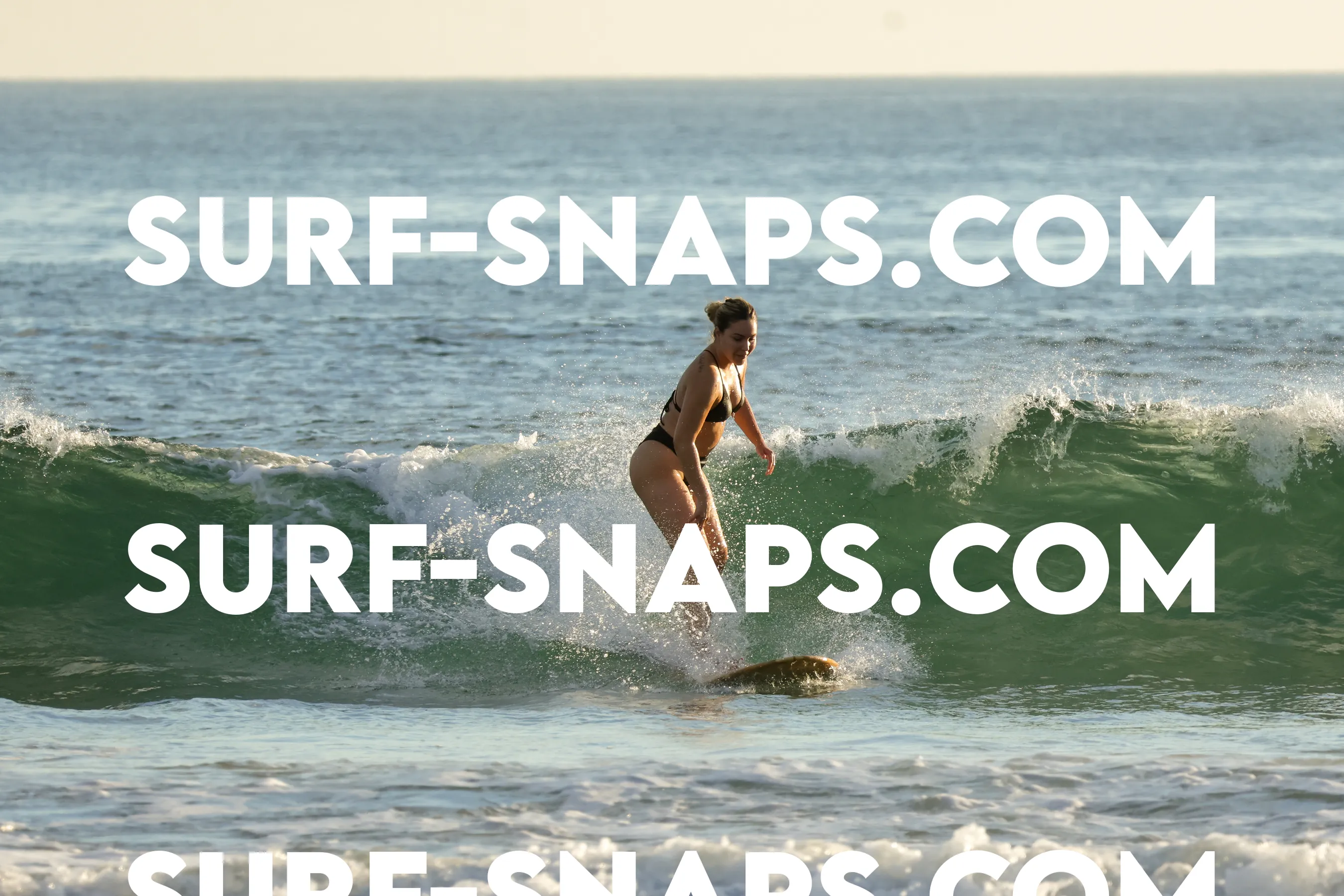Tourmaline Surfing Park photo 218
