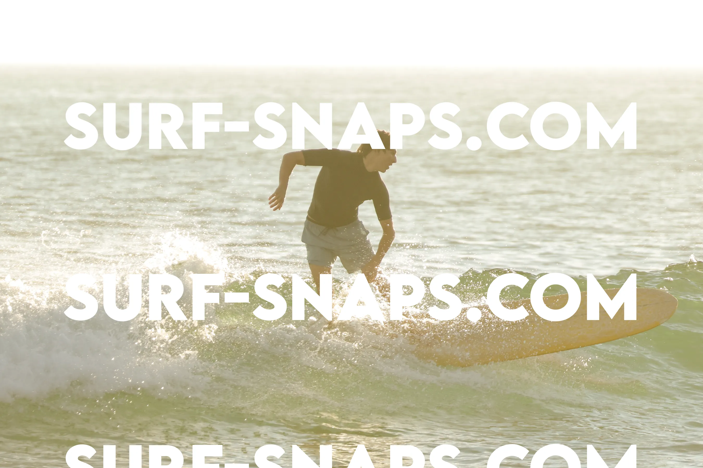 Tourmaline Surfing Park photo 229