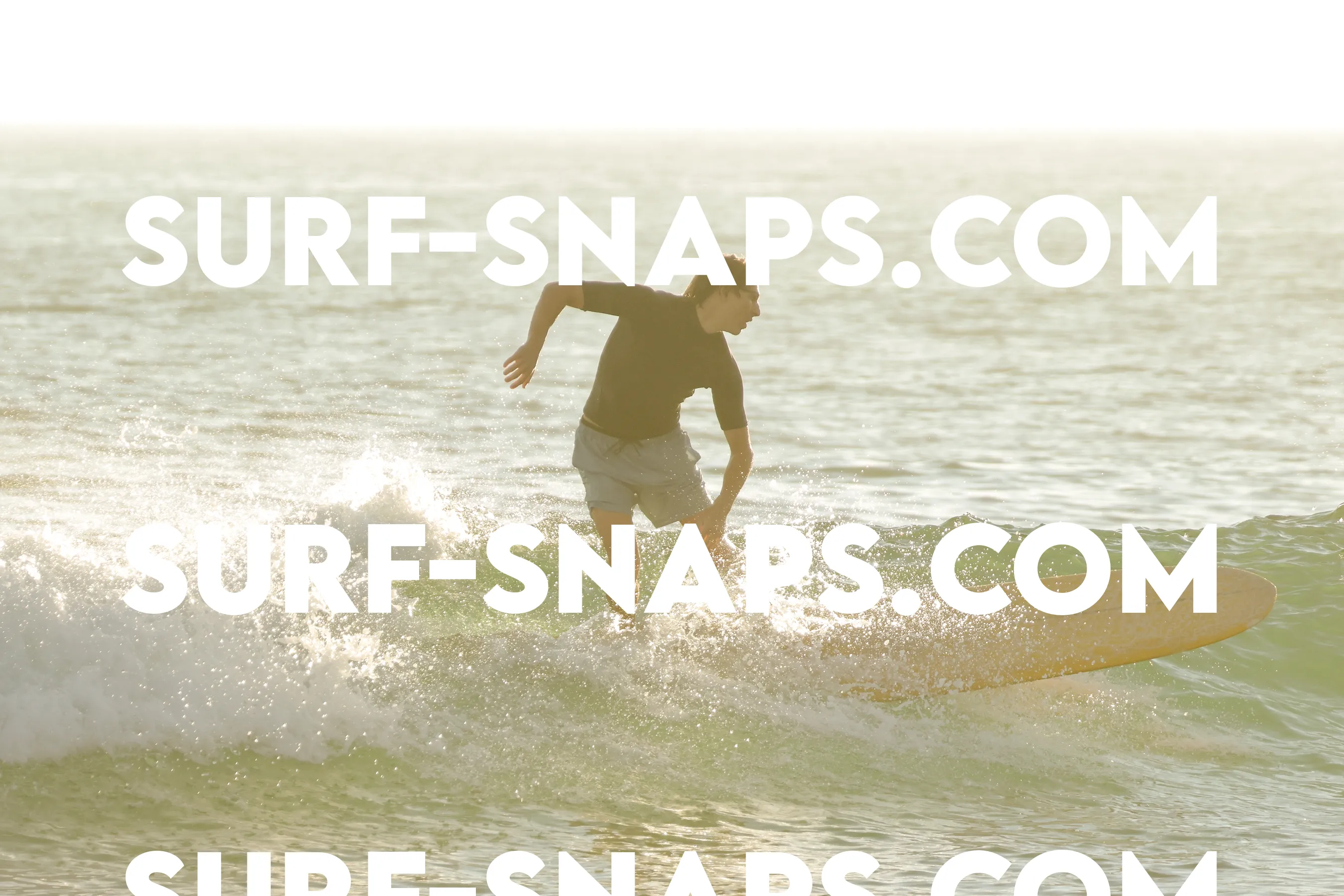 Tourmaline Surfing Park photo 228