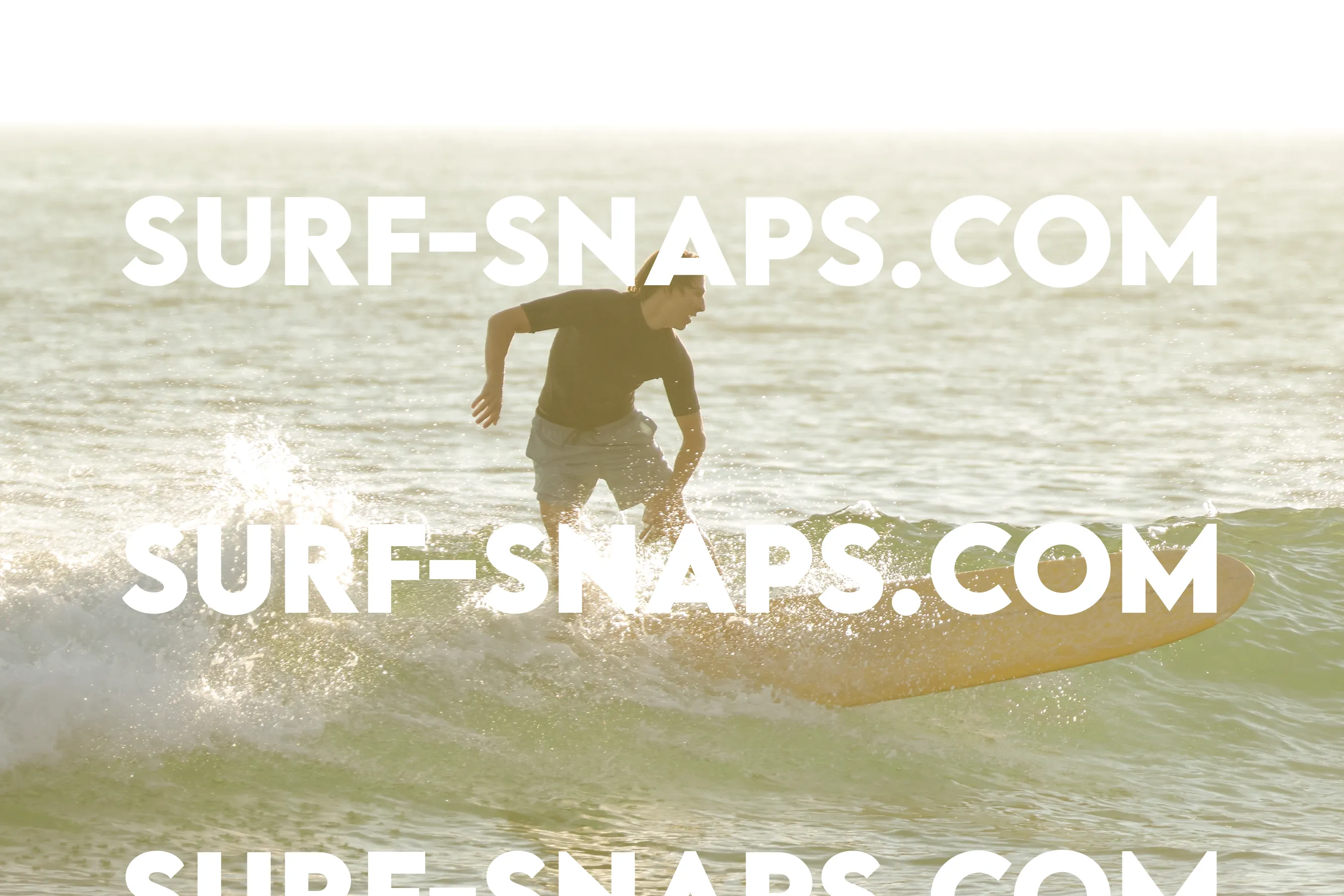 Tourmaline Surfing Park photo 230
