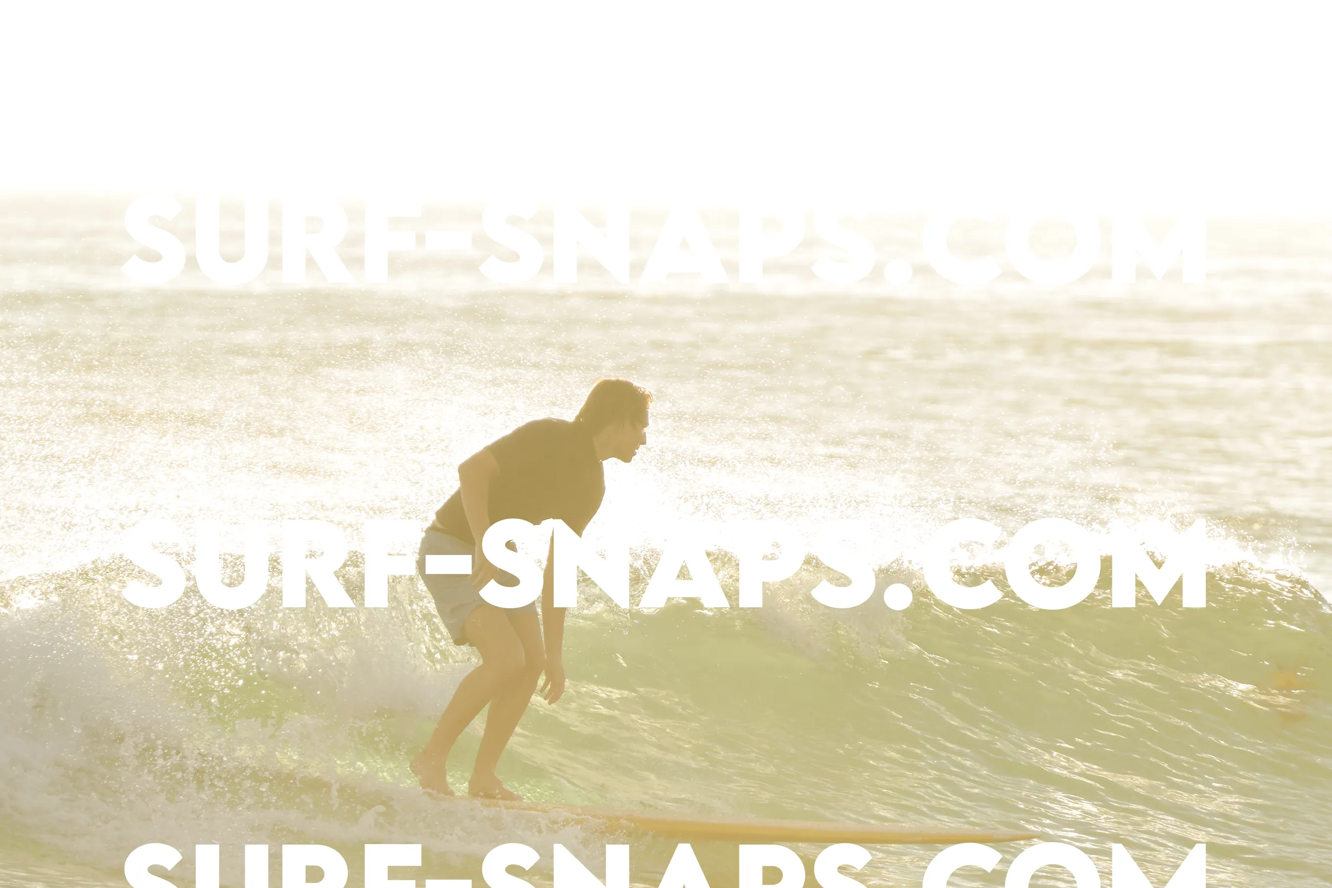 Tourmaline Surfing Park photo 236