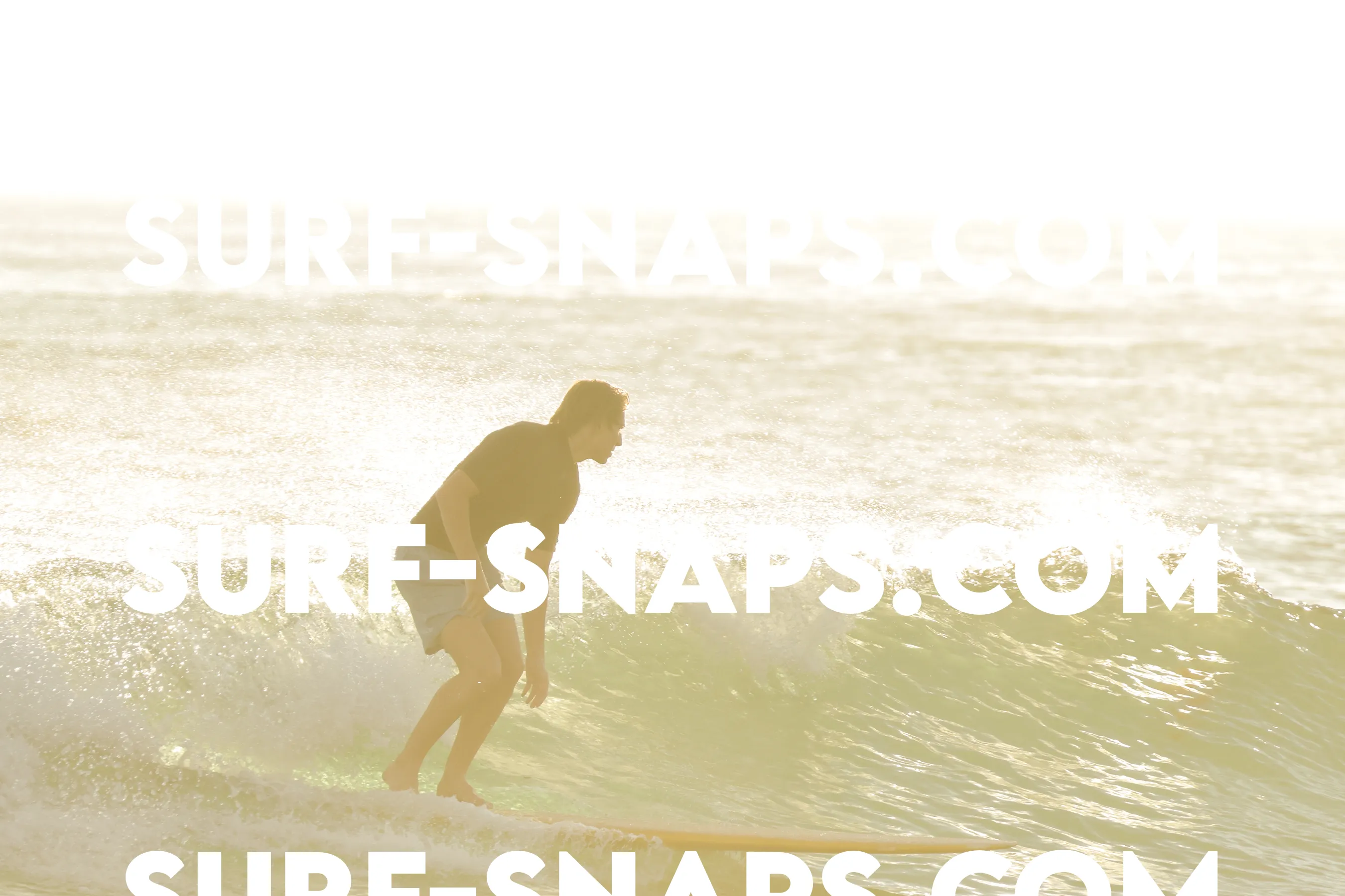 Tourmaline Surfing Park photo 237