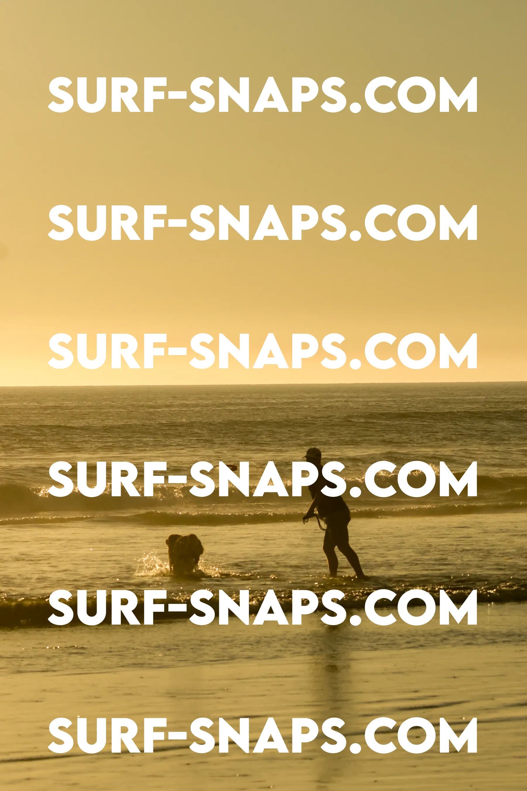 Tourmaline Surfing Park photo 248