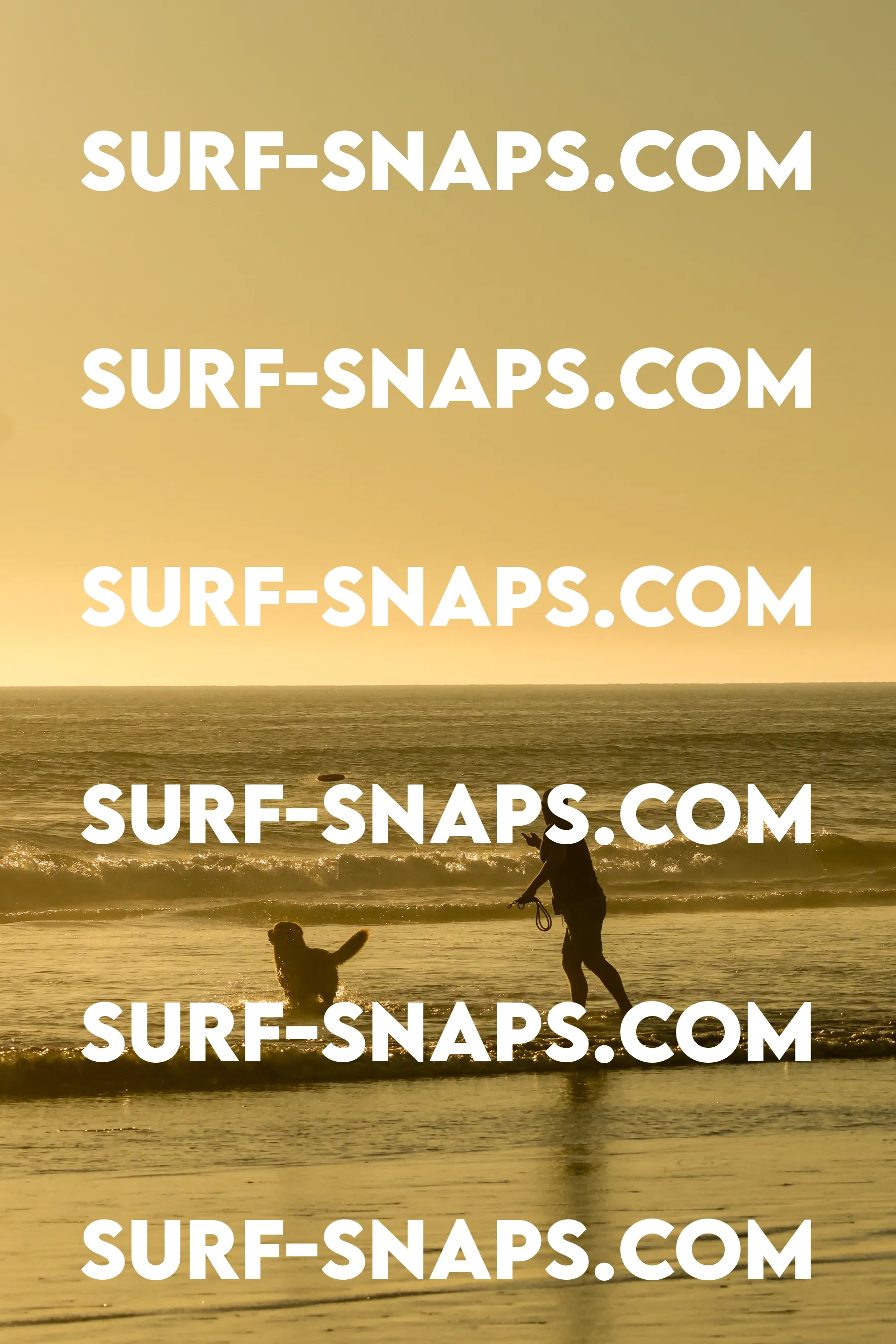 Tourmaline Surfing Park photo 249