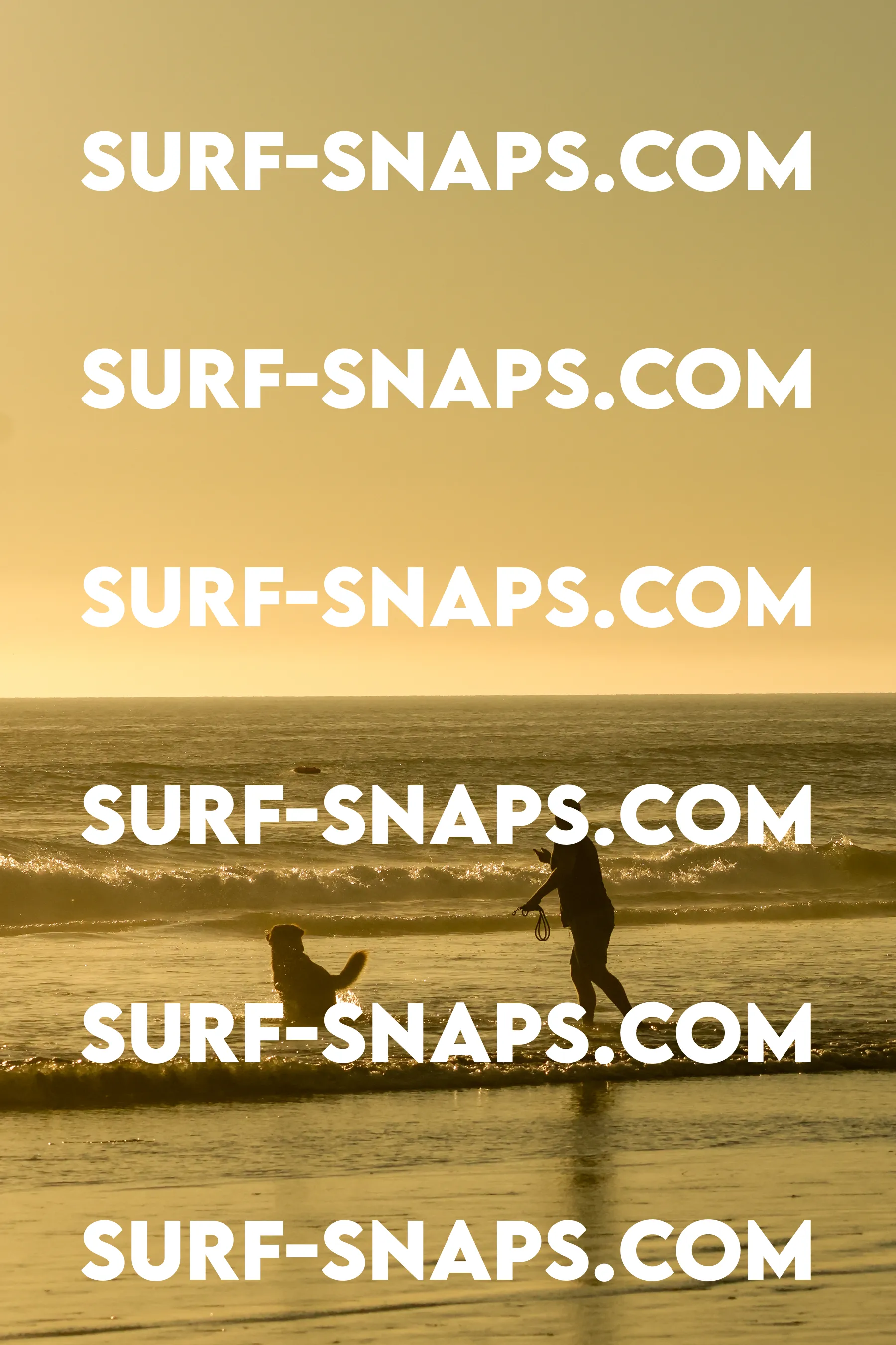 Tourmaline Surfing Park photo 250