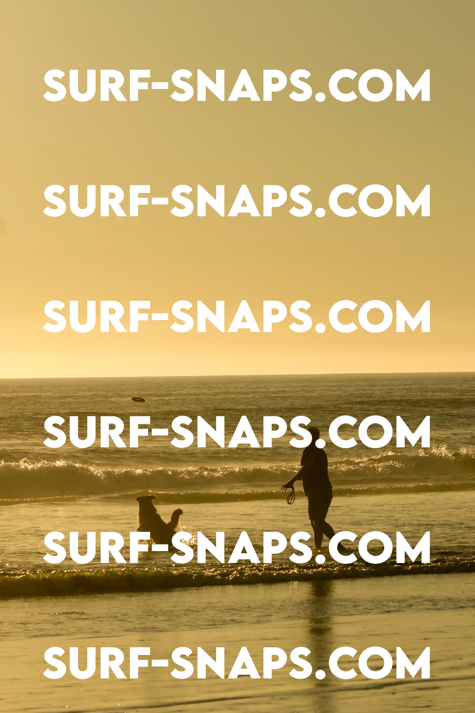 Tourmaline Surfing Park photo 252