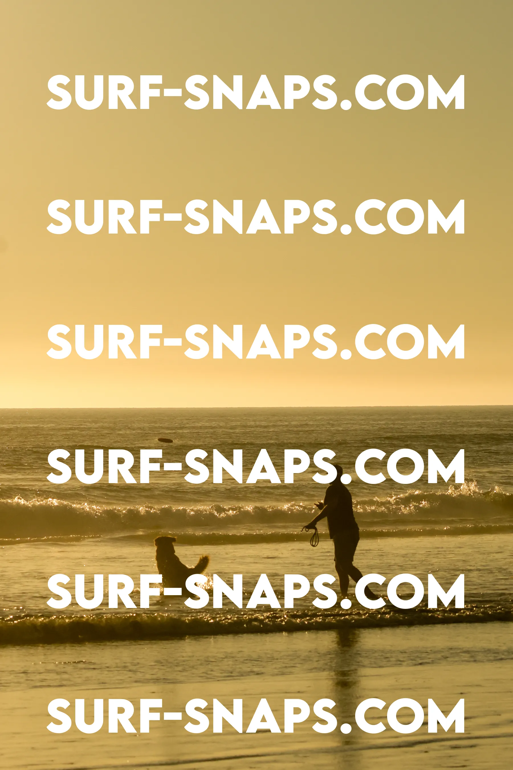 Tourmaline Surfing Park photo 251