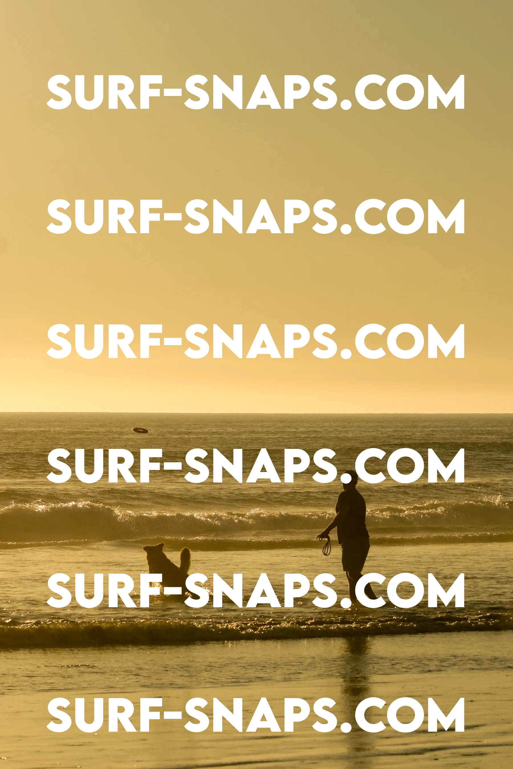 Tourmaline Surfing Park photo 253