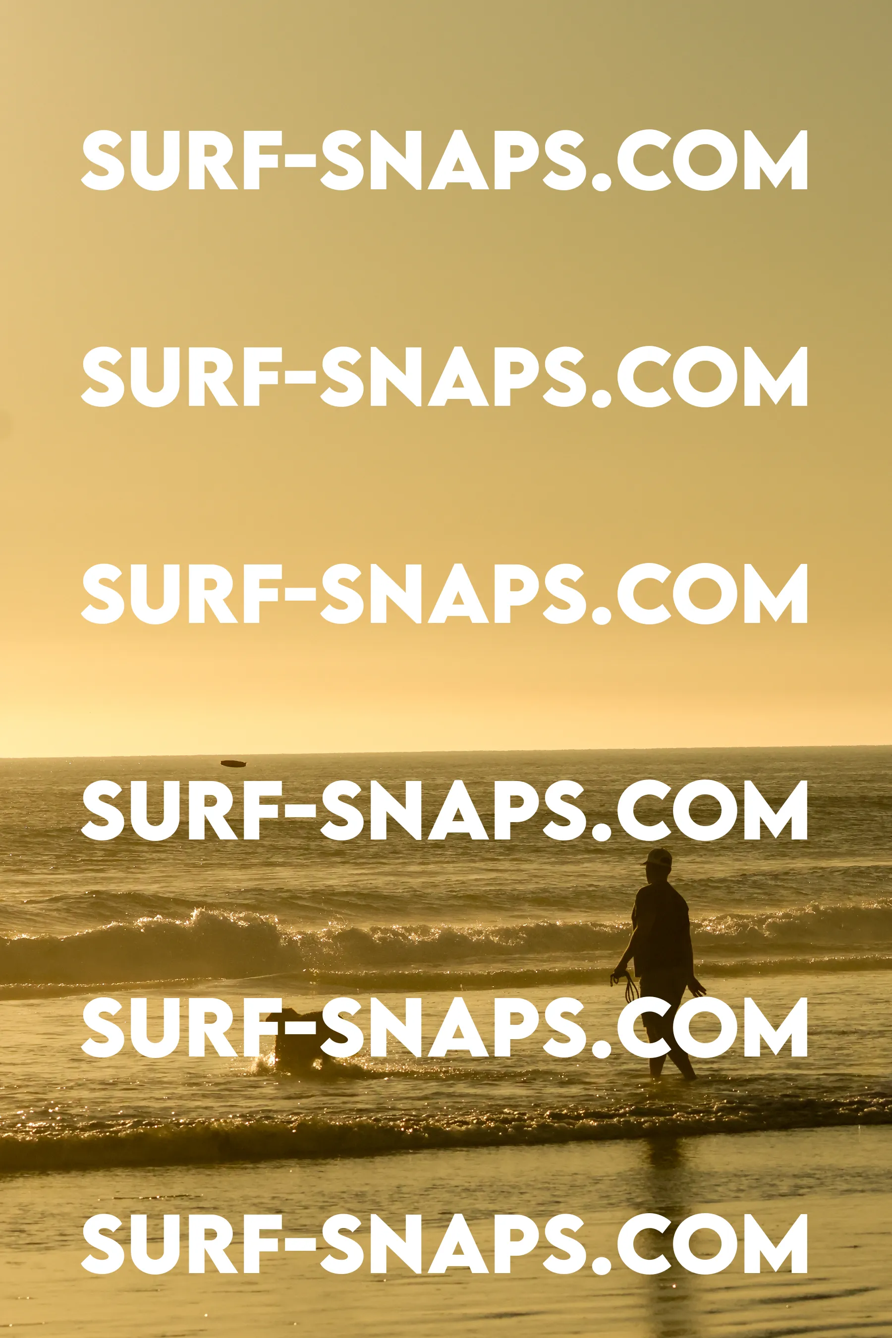 Tourmaline Surfing Park photo 254