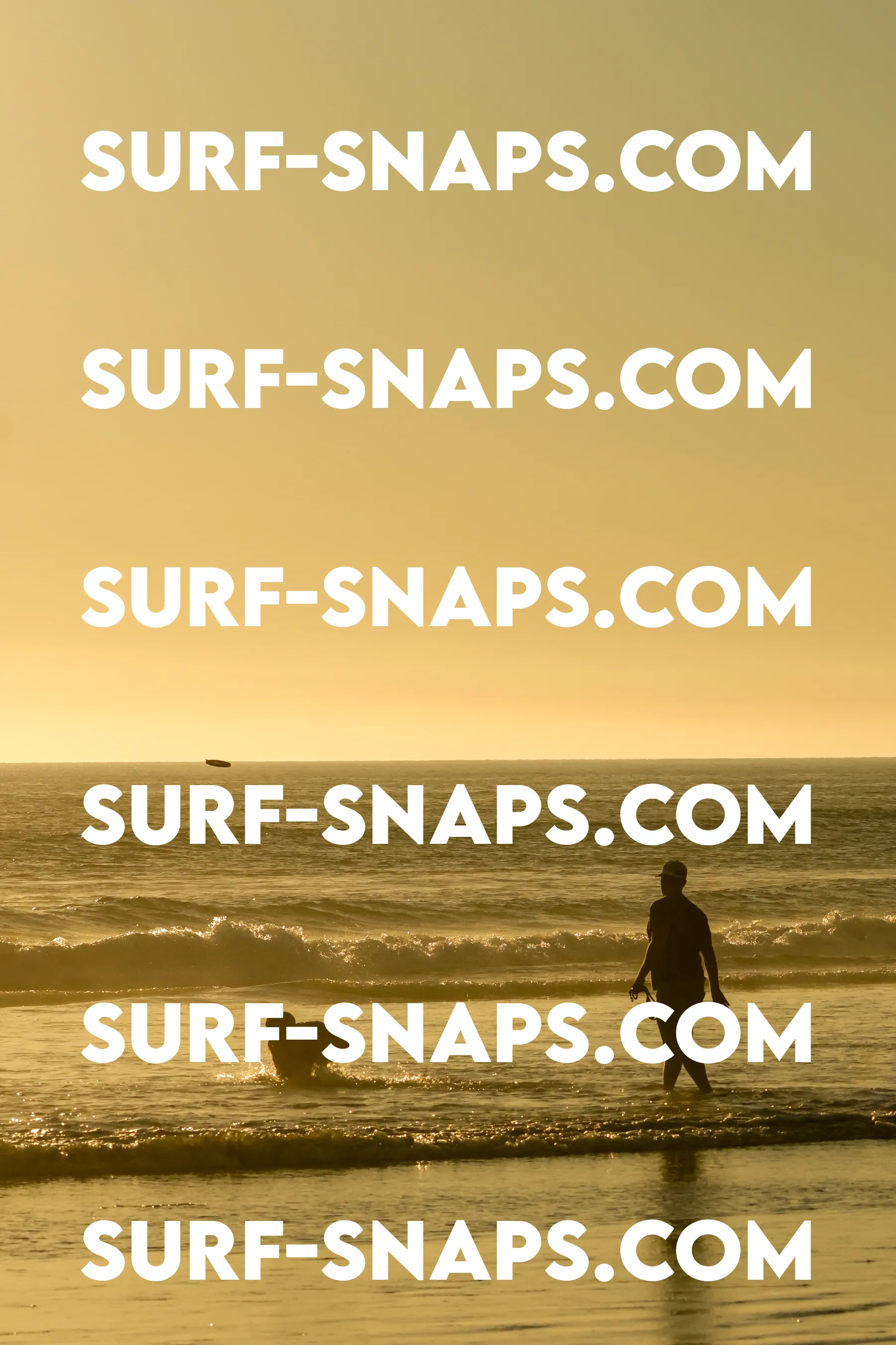 Tourmaline Surfing Park photo 255
