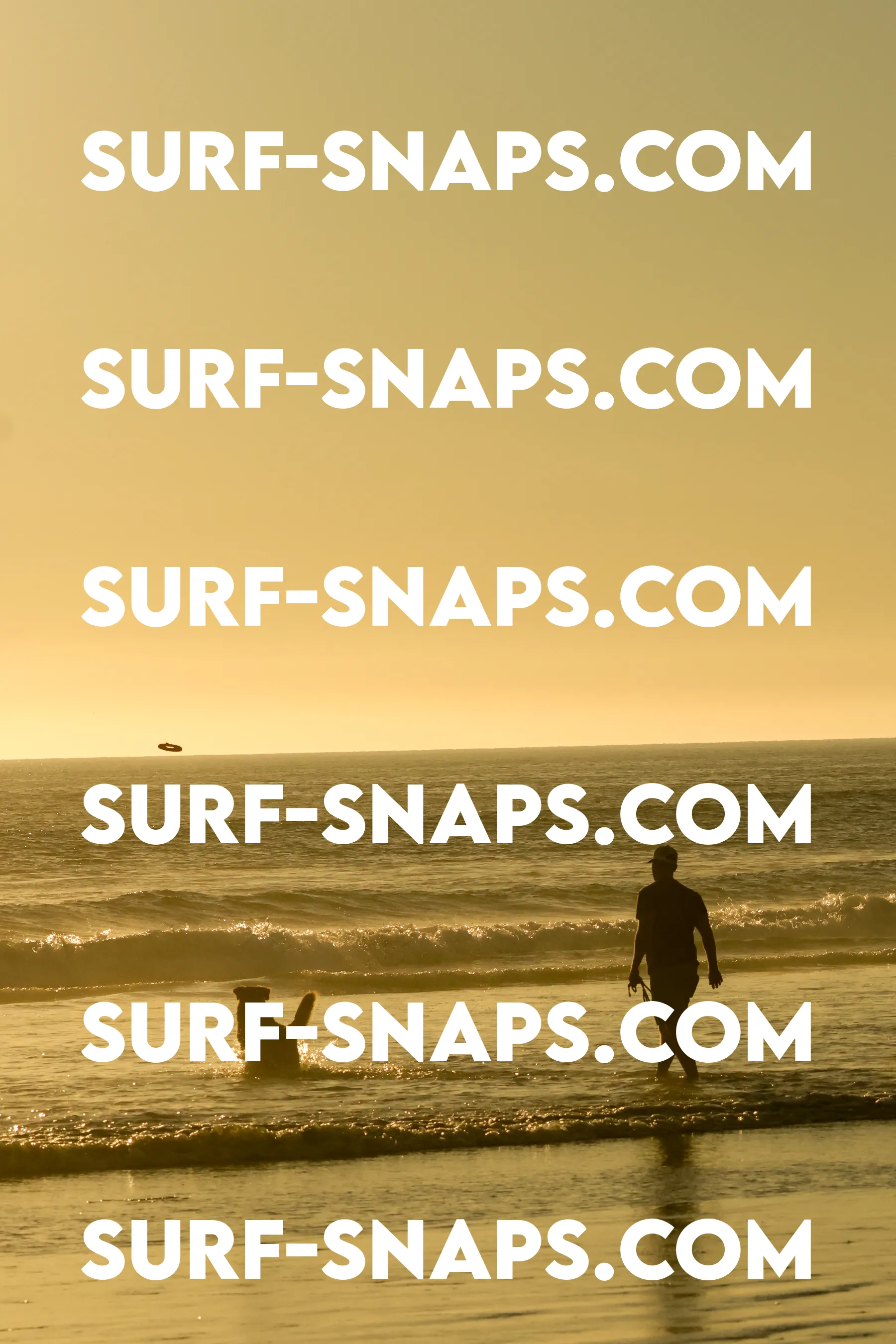 Tourmaline Surfing Park photo 257